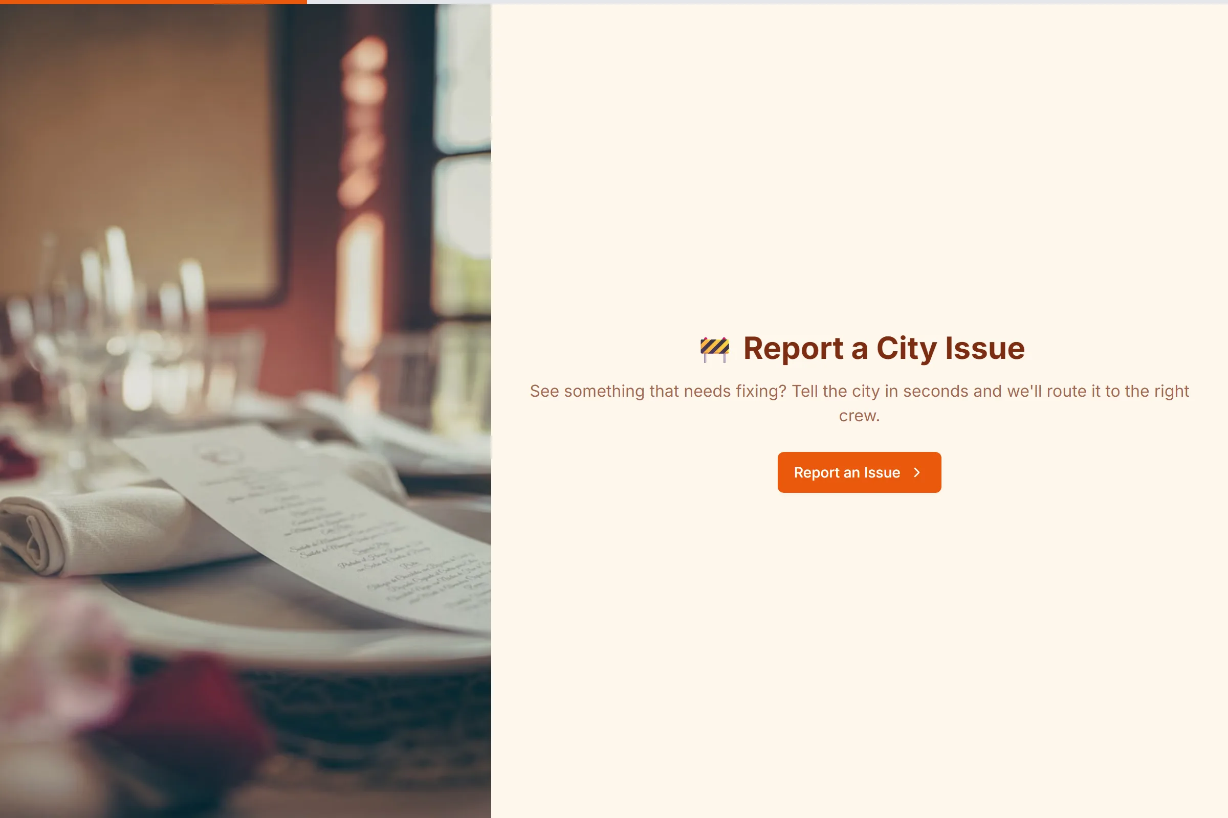 311 Citizen Issue Report template preview
