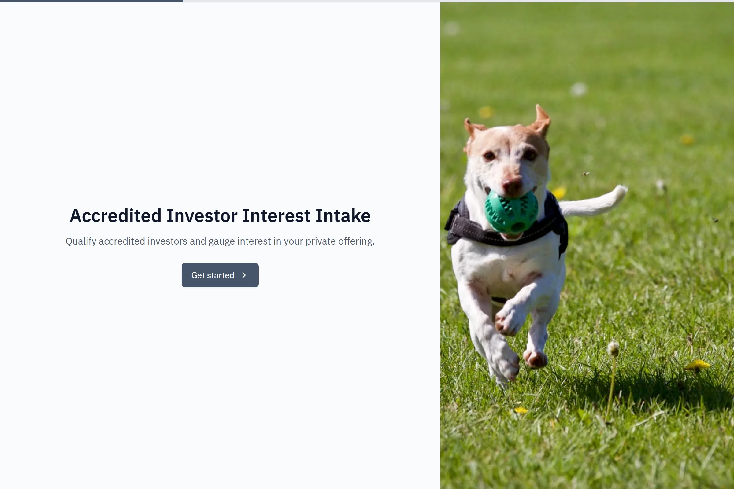 Accredited Investor Interest Intake preview