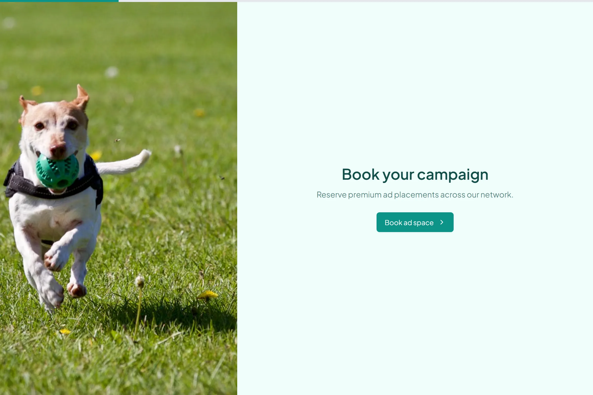 Advertising Placement Booking template preview