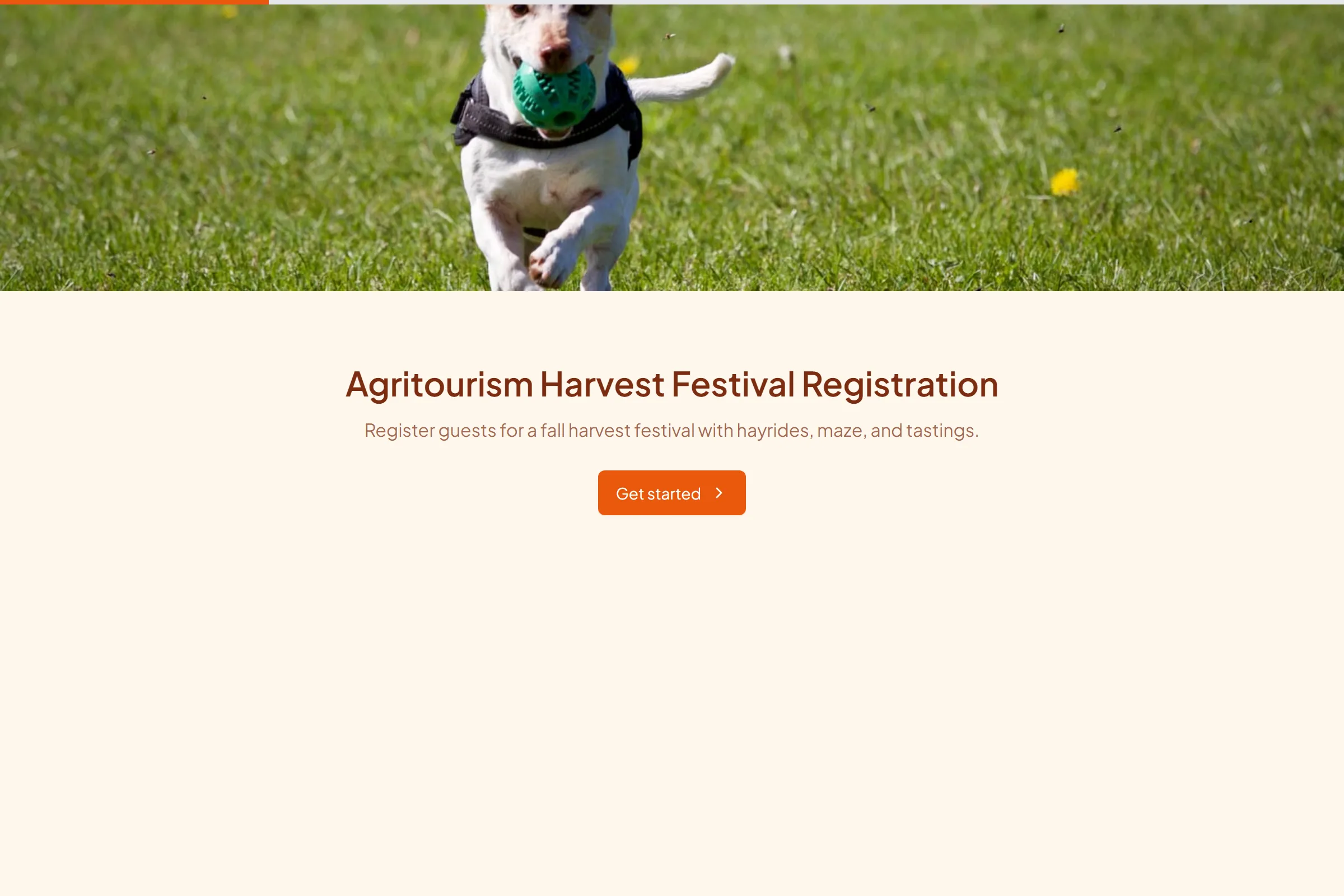 Agritourism Harvest Festival Registration template preview
