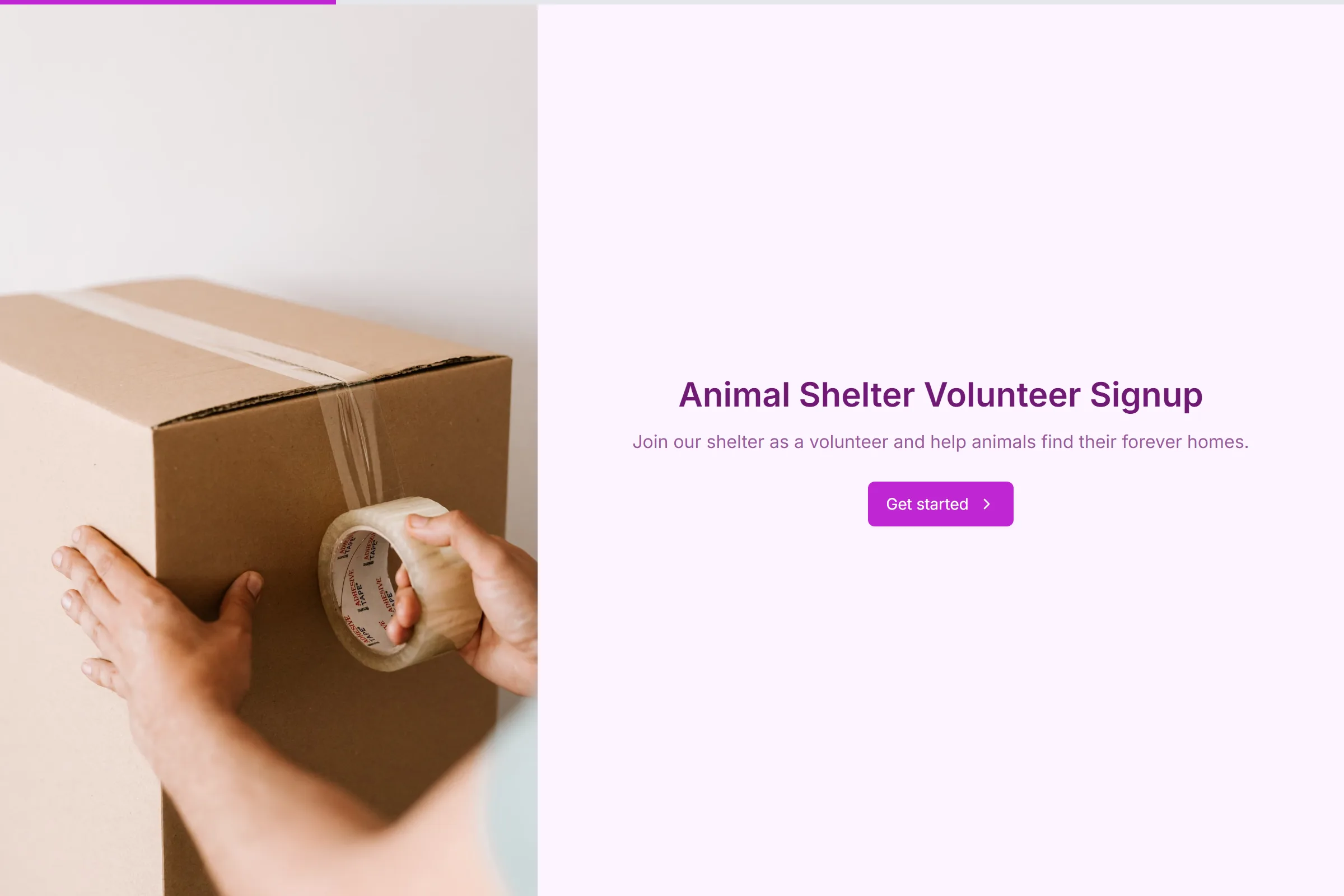 Animal Shelter Volunteer Signup template preview