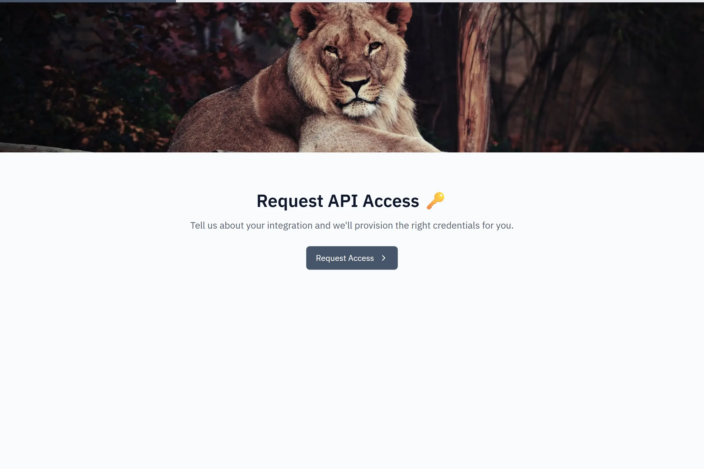 API Access Request template preview