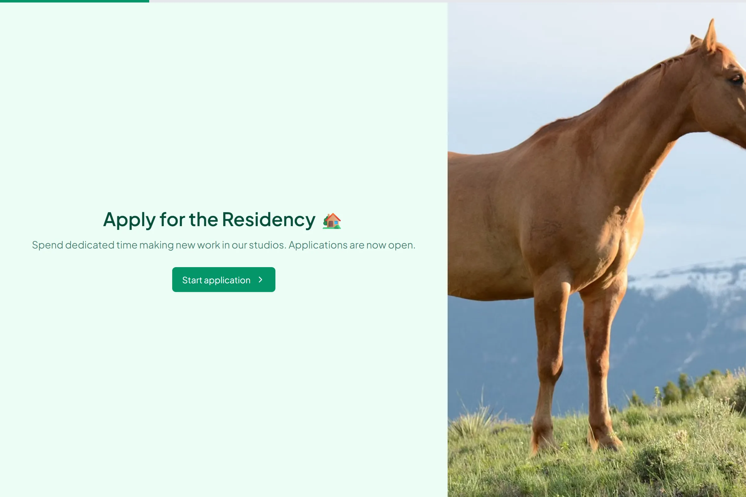 Artist Residency Application template preview