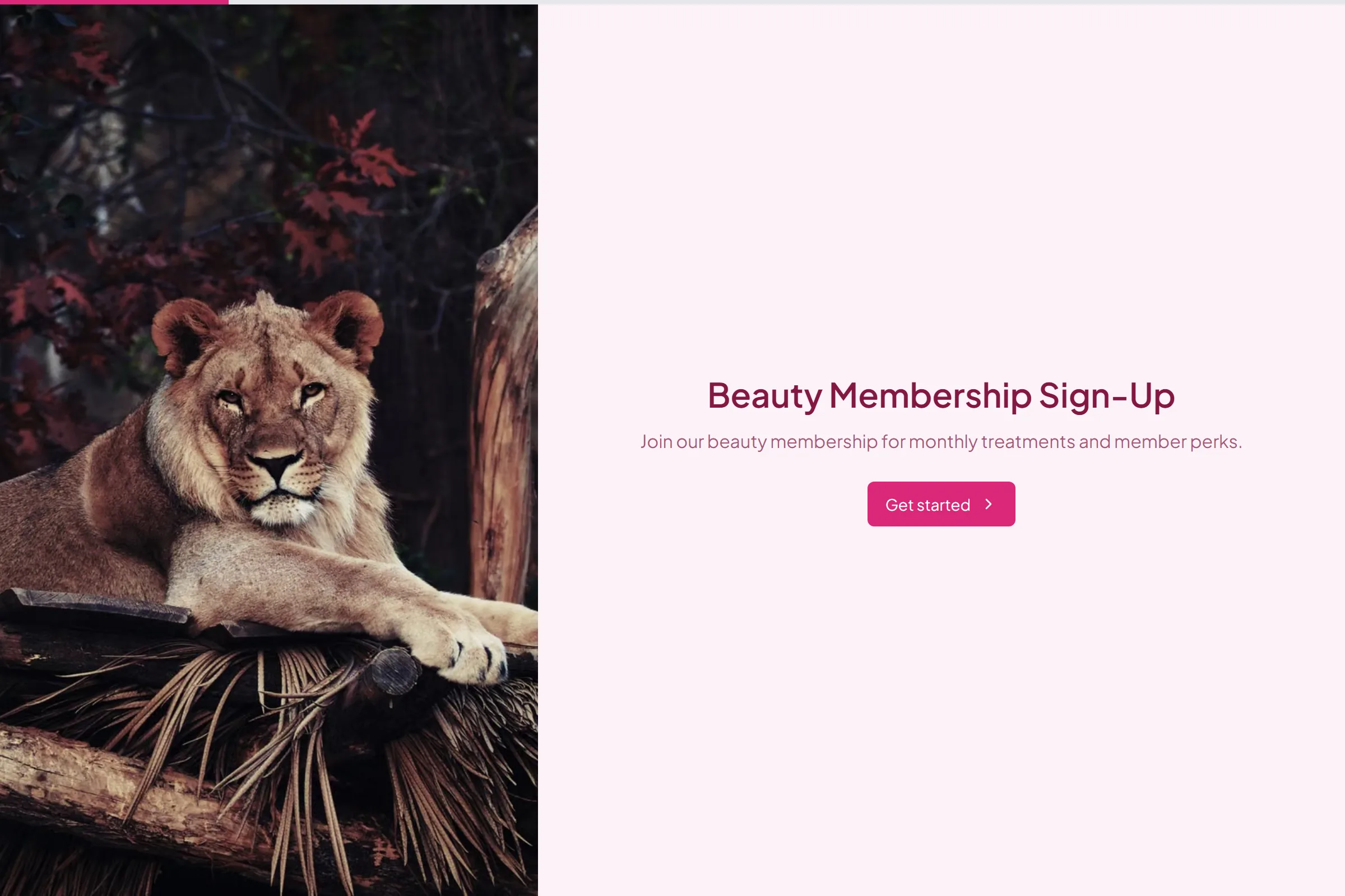Beauty Membership Sign-Up template preview