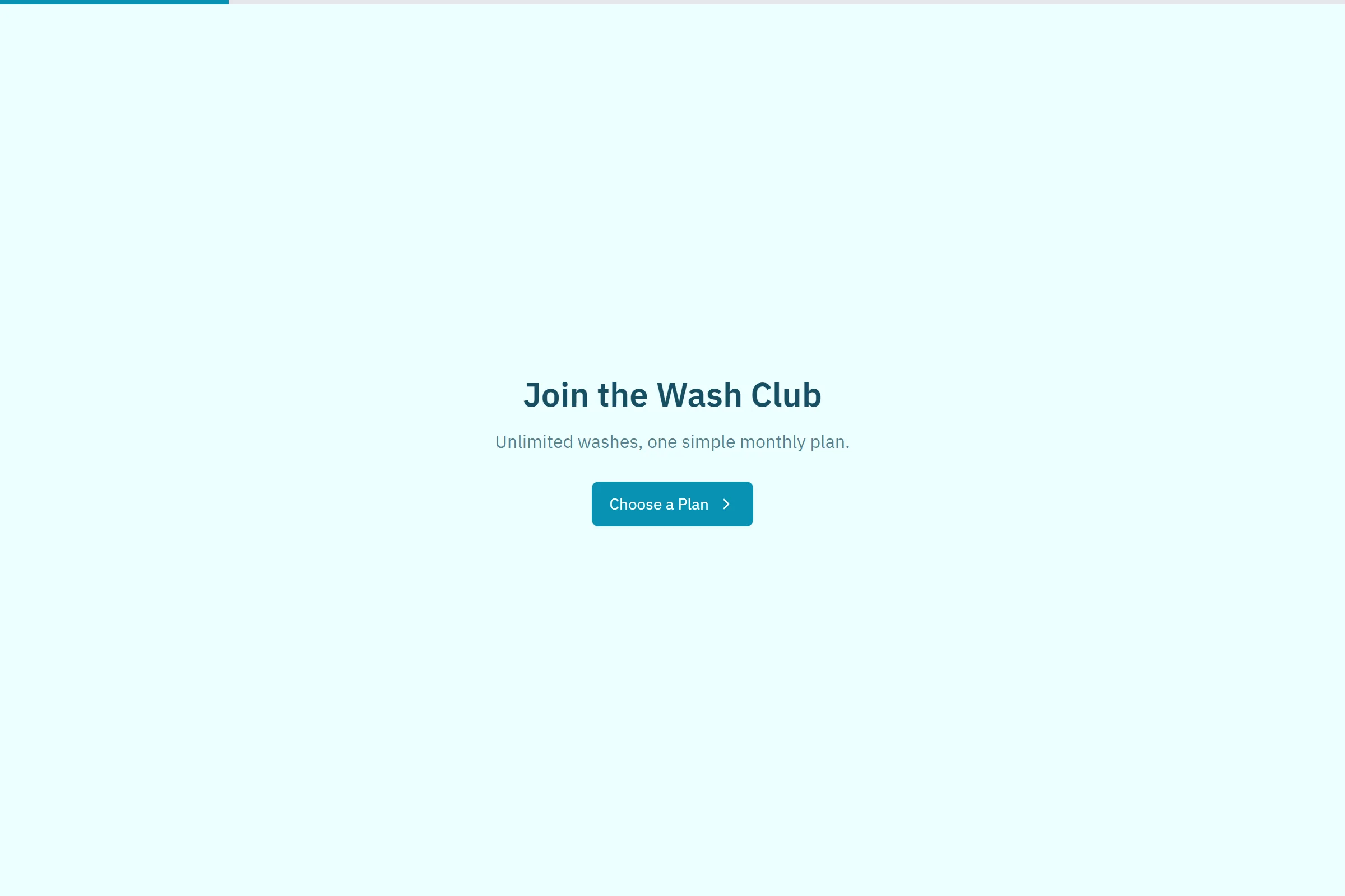 Car Wash Membership template preview
