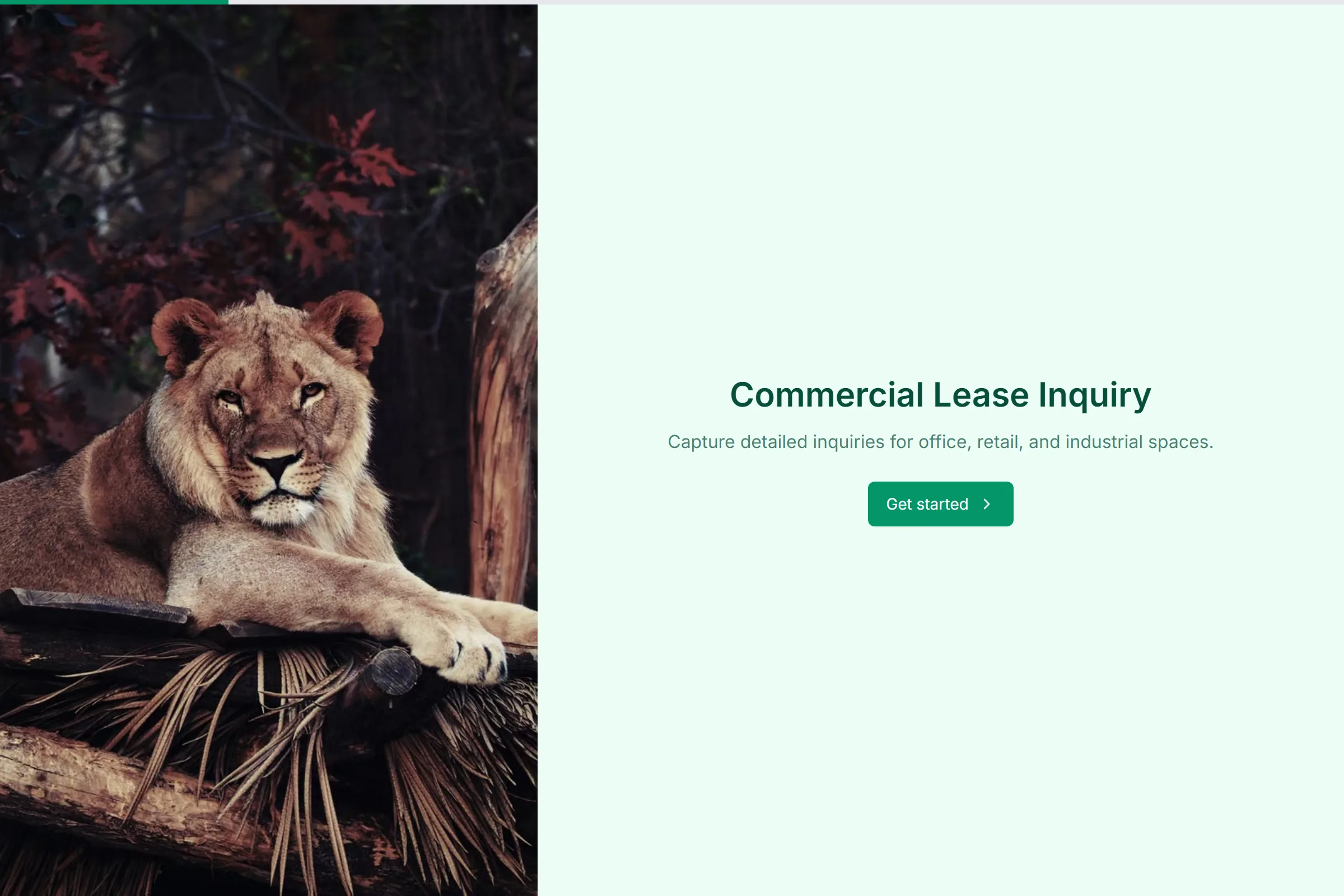 Commercial Lease Inquiry template preview