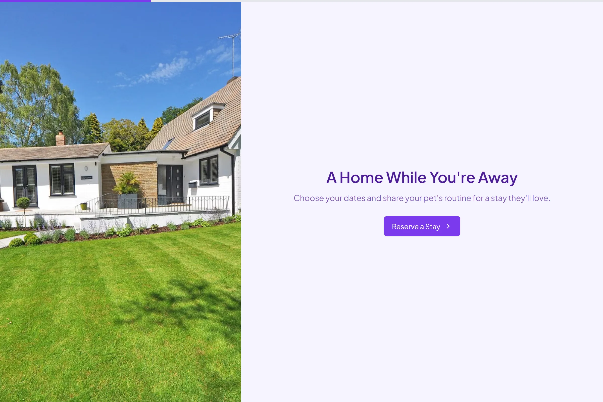 Cozy Paws Boarding Reservation template preview
