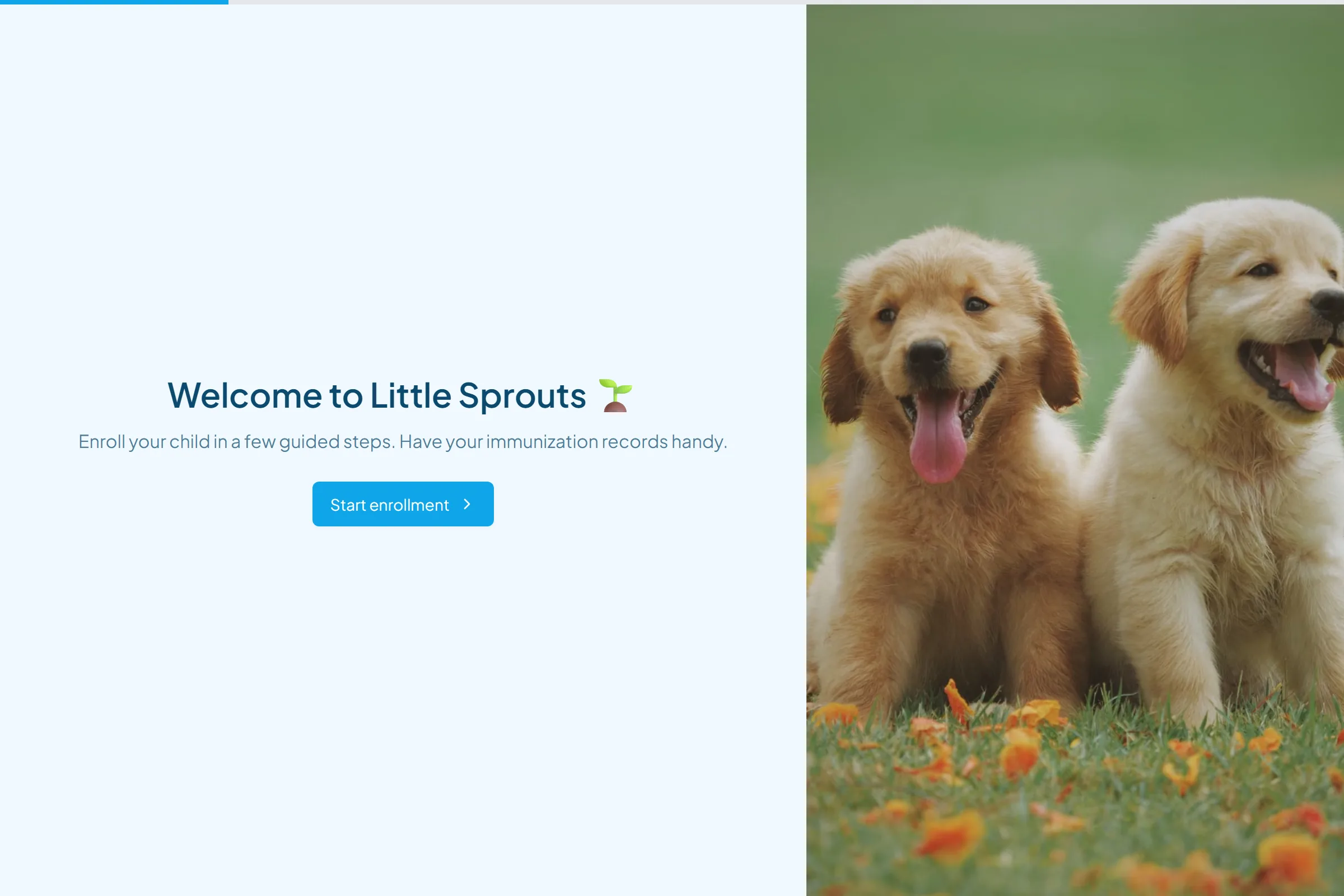 Daycare Enrollment Application template preview