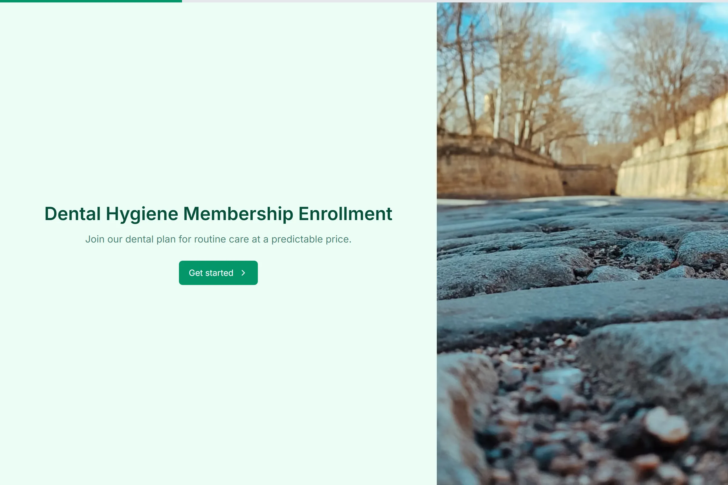 Dental Hygiene Membership Enrollment template preview