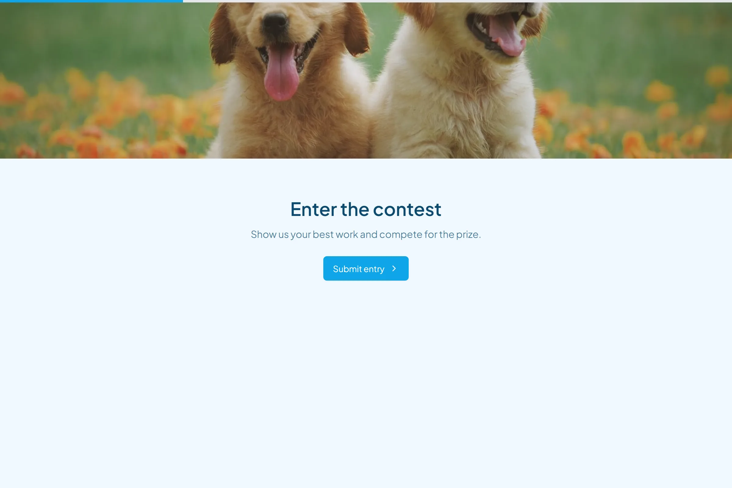 Design Contest Entry template preview