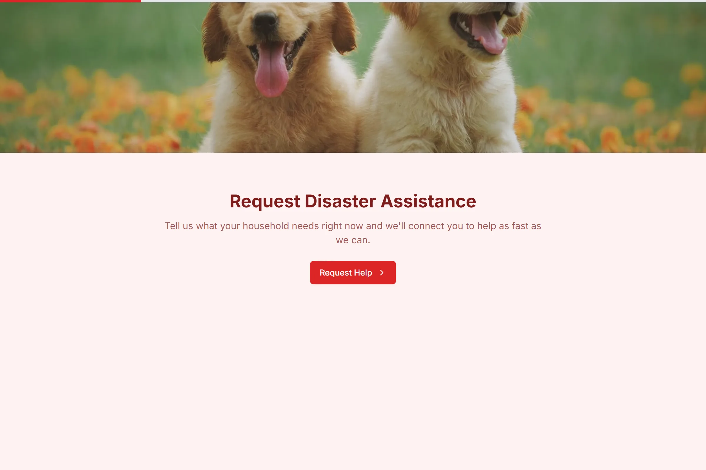Disaster Relief Assistance Request template preview