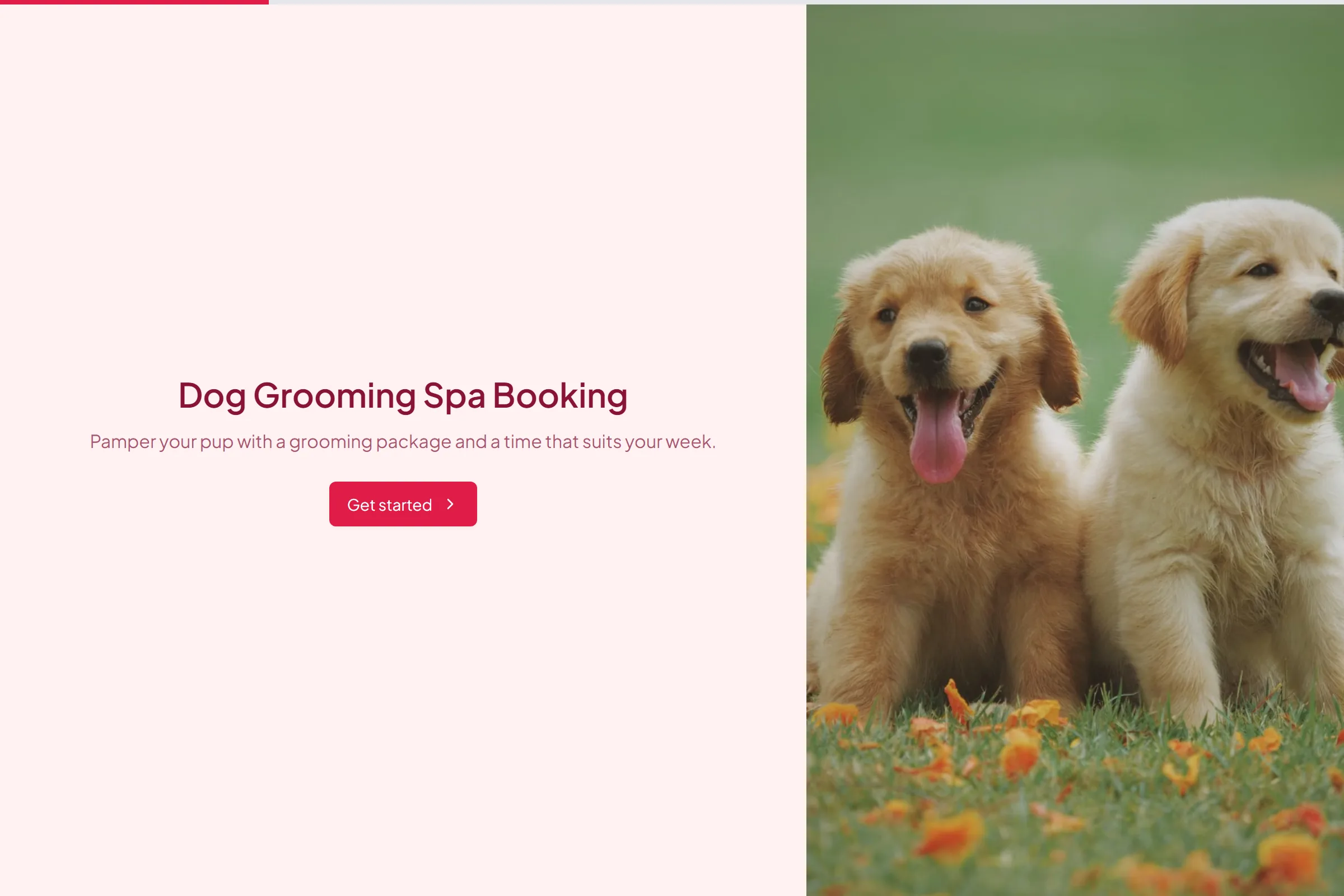 Dog Grooming Spa Booking preview