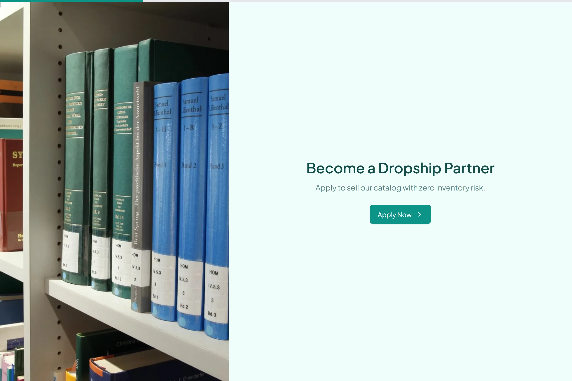Dropship Reseller Application template preview