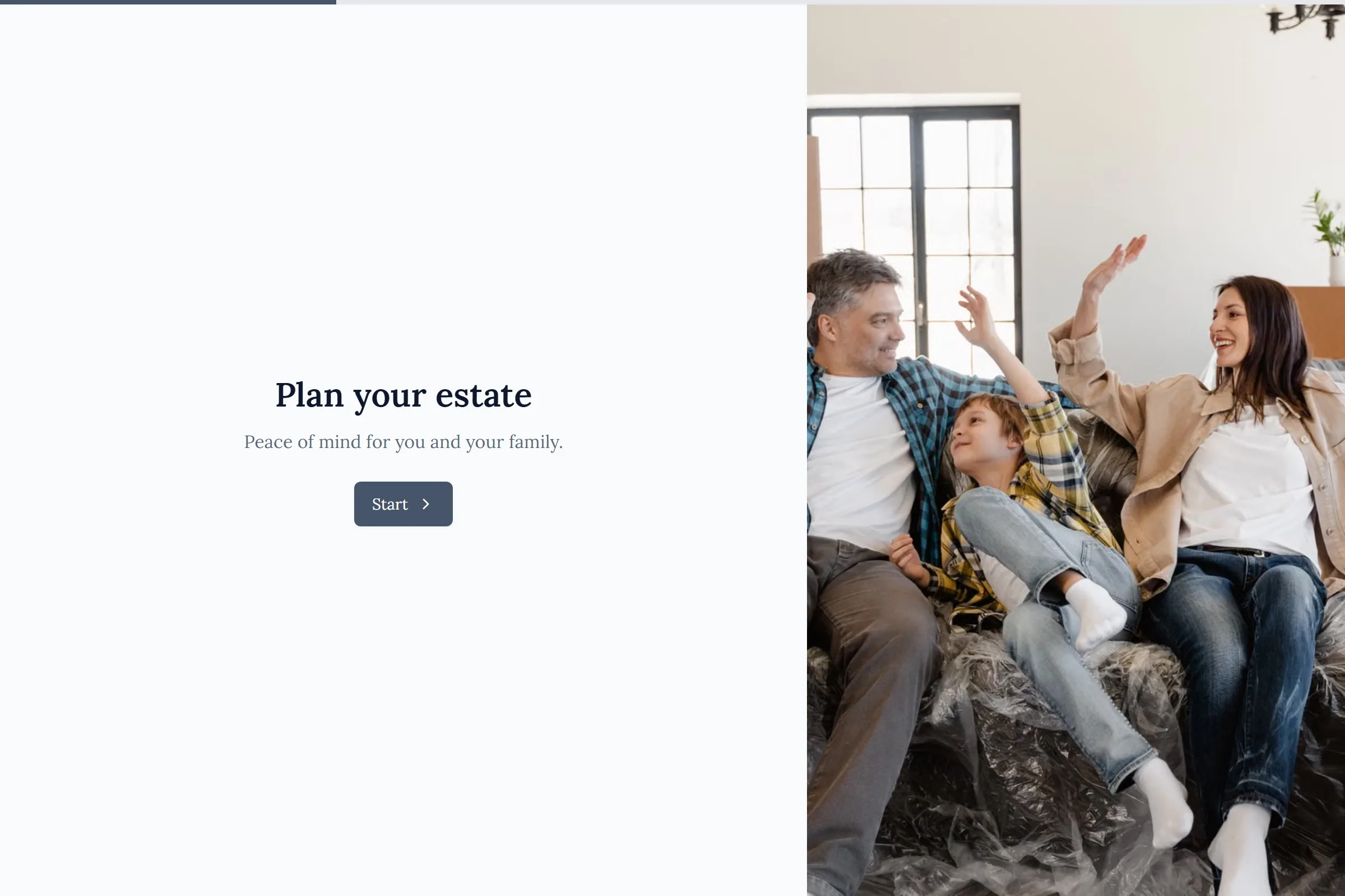 Estate Planning Consultation template preview