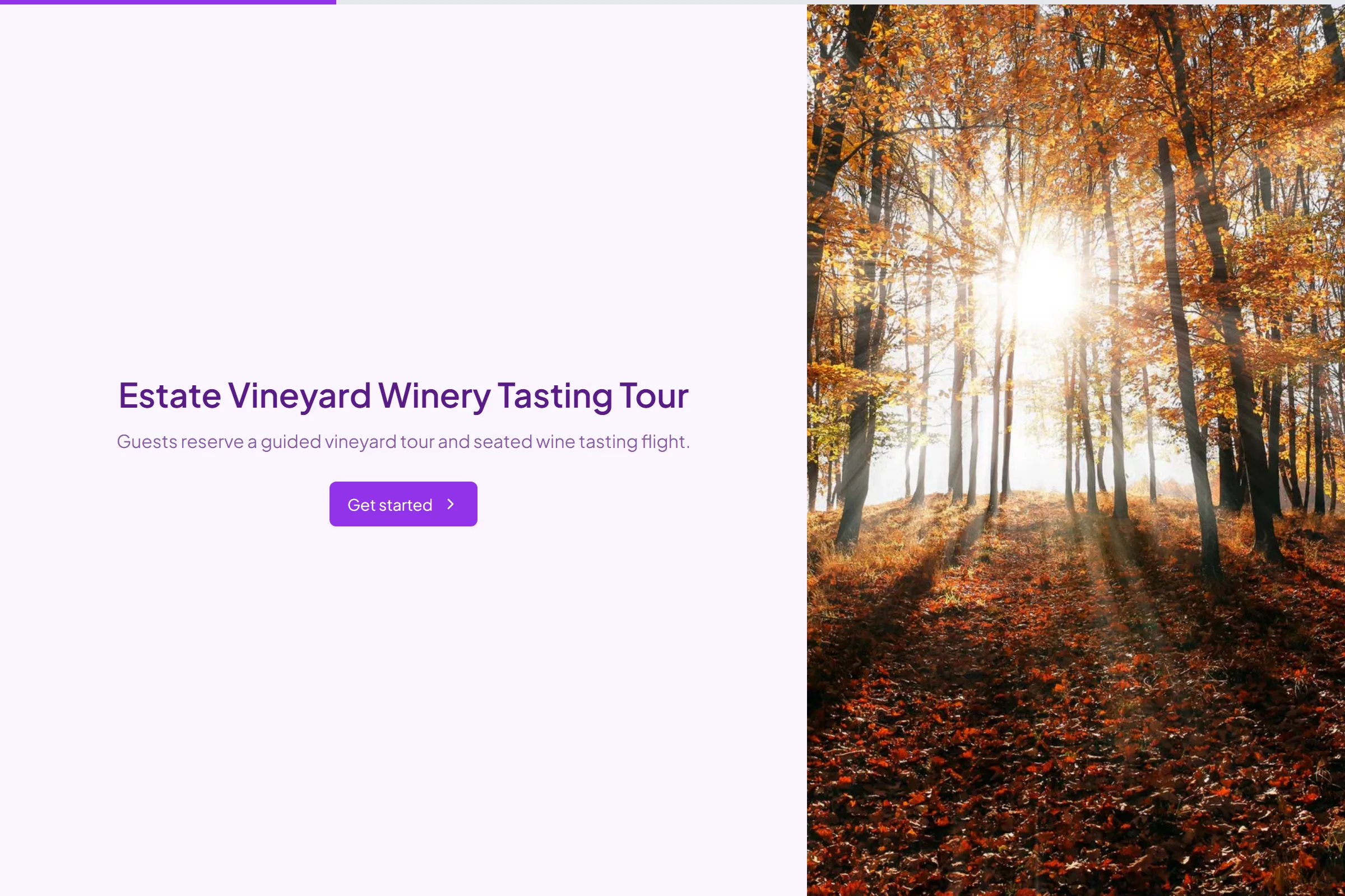 Estate Vineyard Winery Tasting Tour template preview