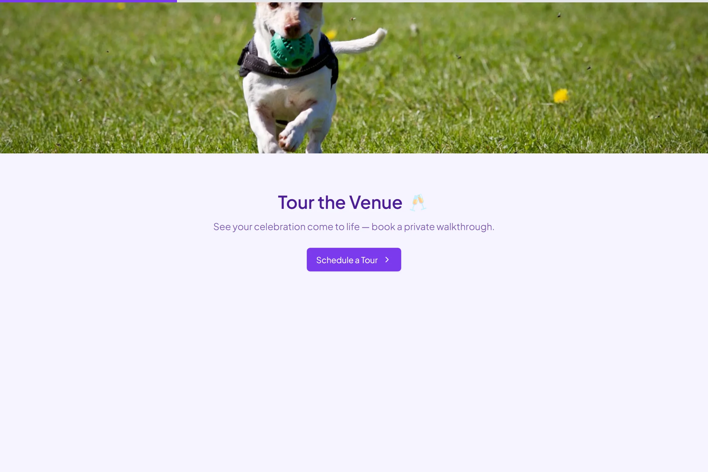 Event Venue Site Tour template preview