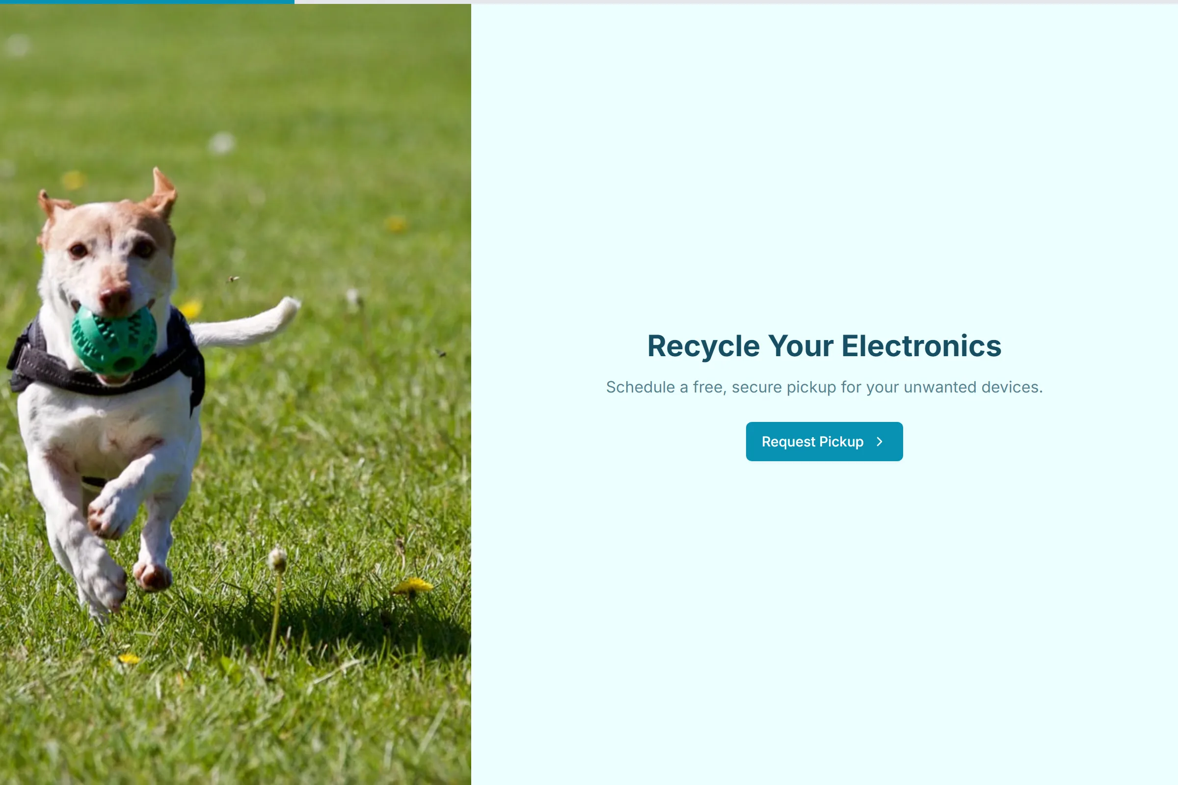 E-Waste Pickup Request template preview
