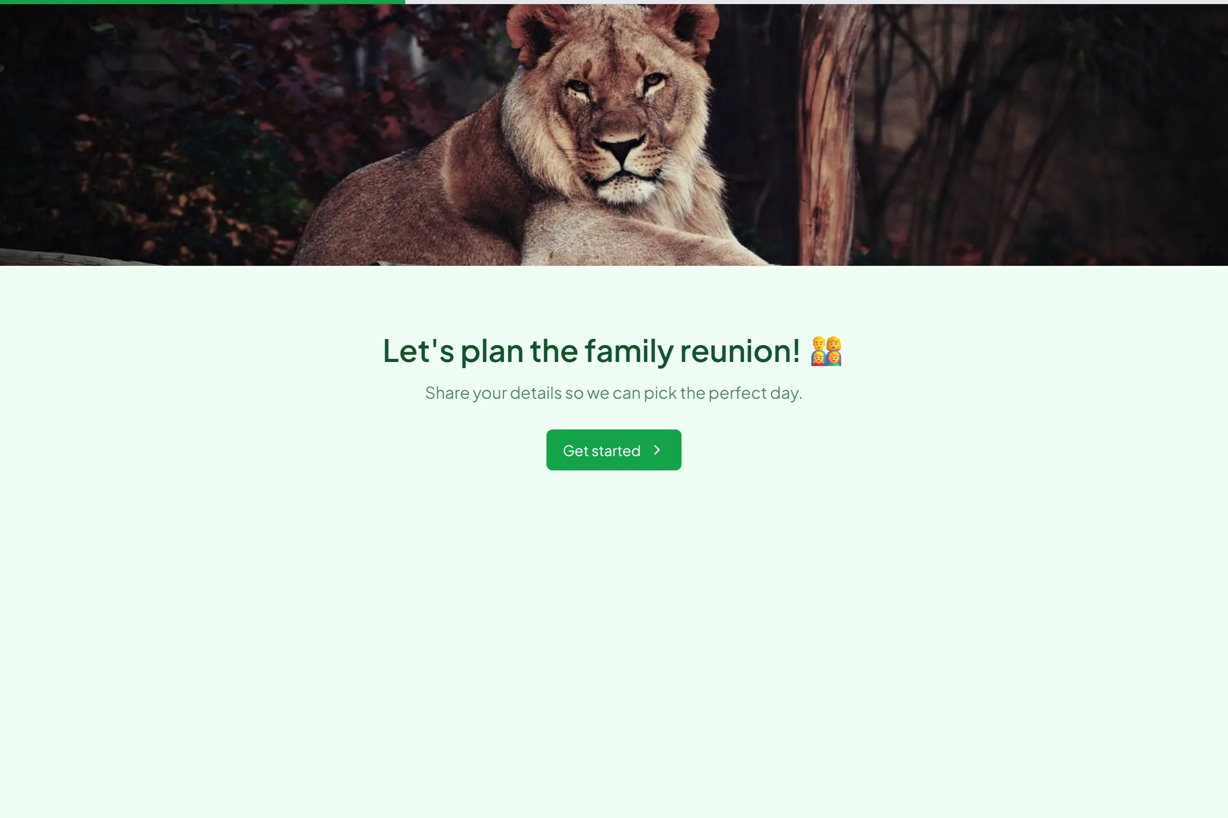 Family Reunion Planner template preview