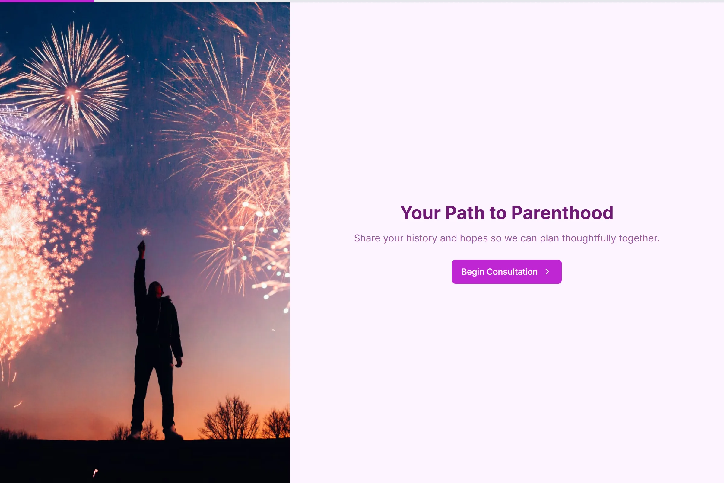 Fertility Clinic Consultation template preview