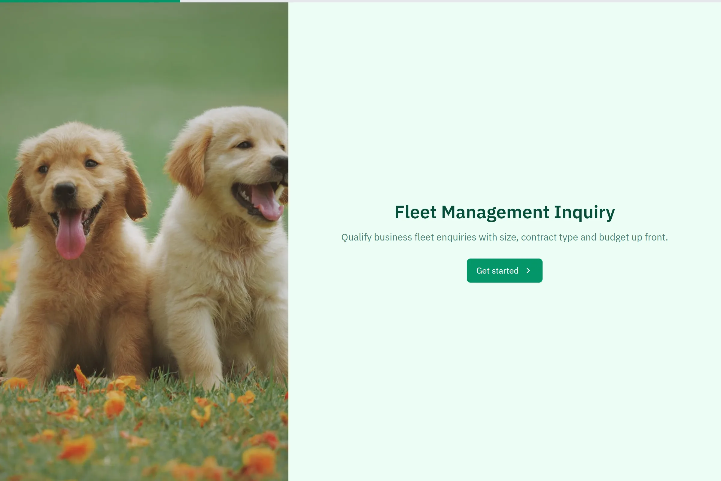 Fleet Management Inquiry template preview