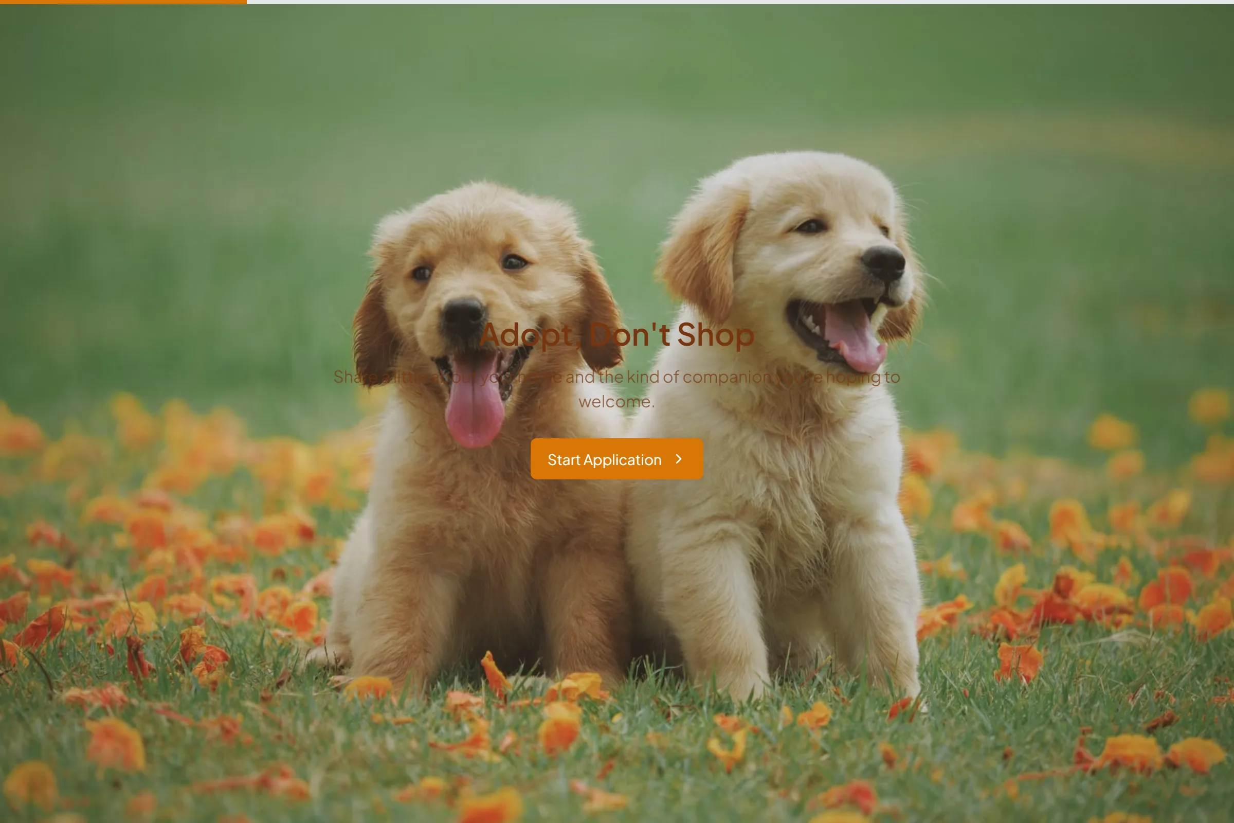 Forever Home Adoption Application template preview