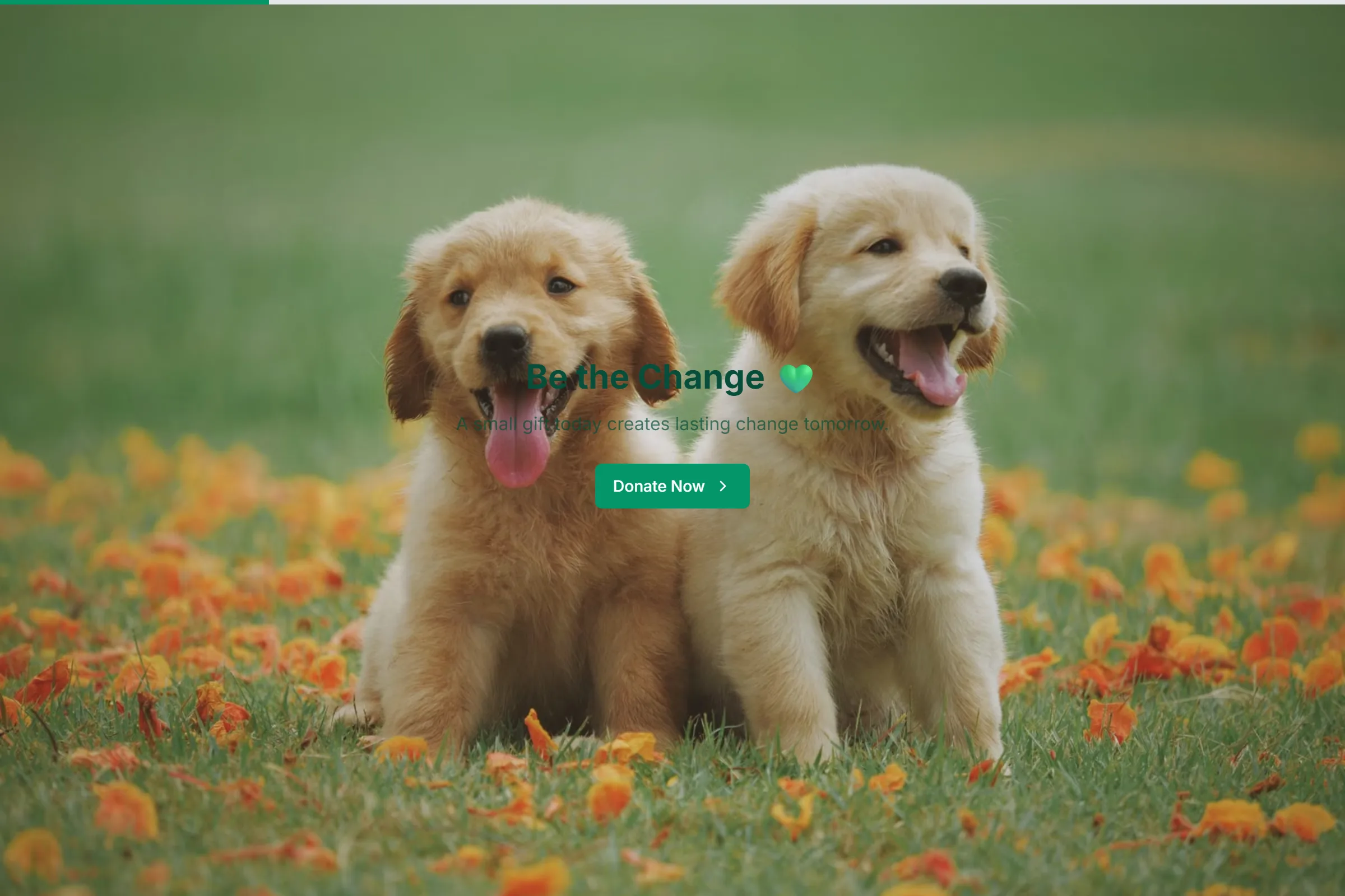 Give Forward Charity Donation template preview