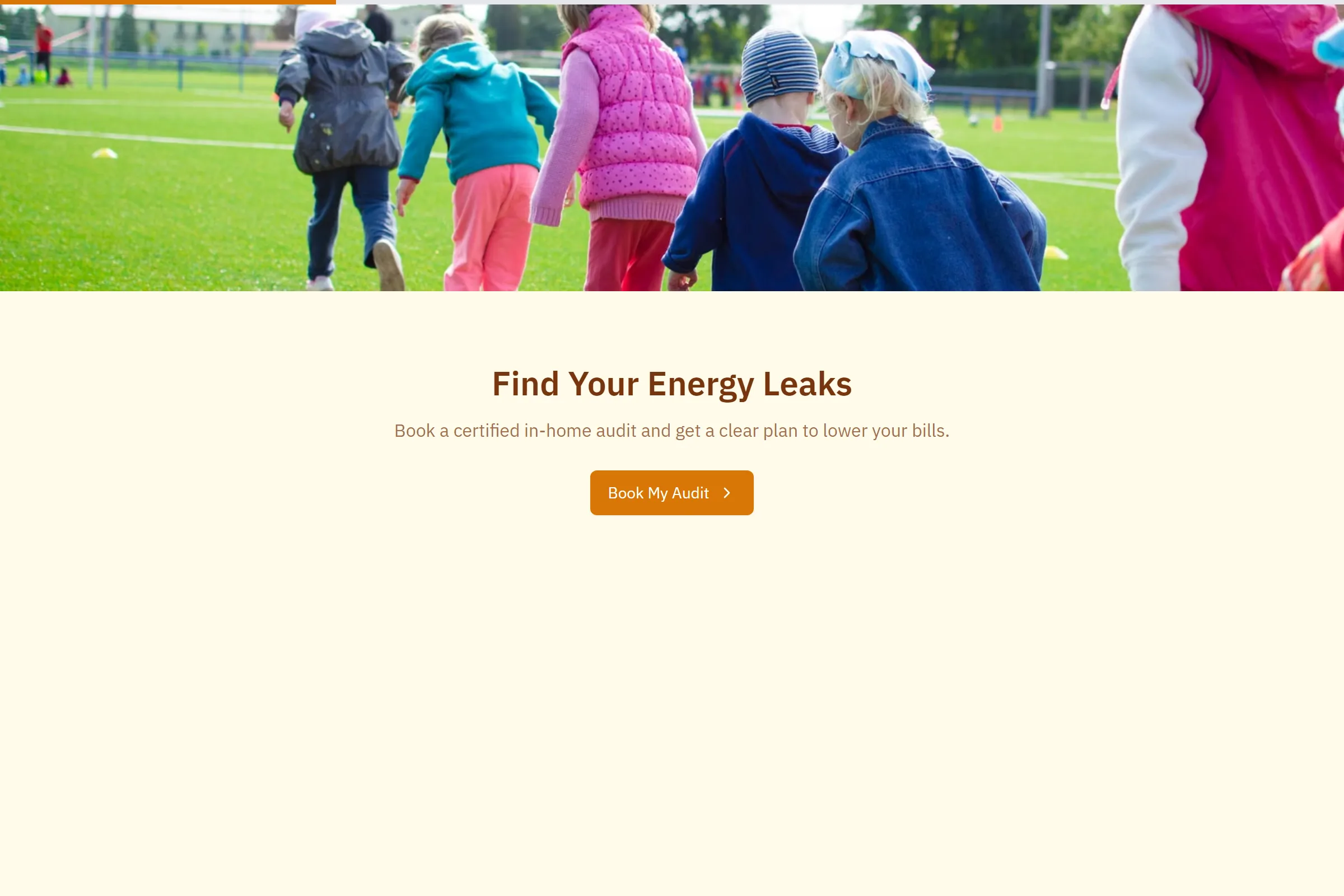 Home Energy Audit Booking template preview