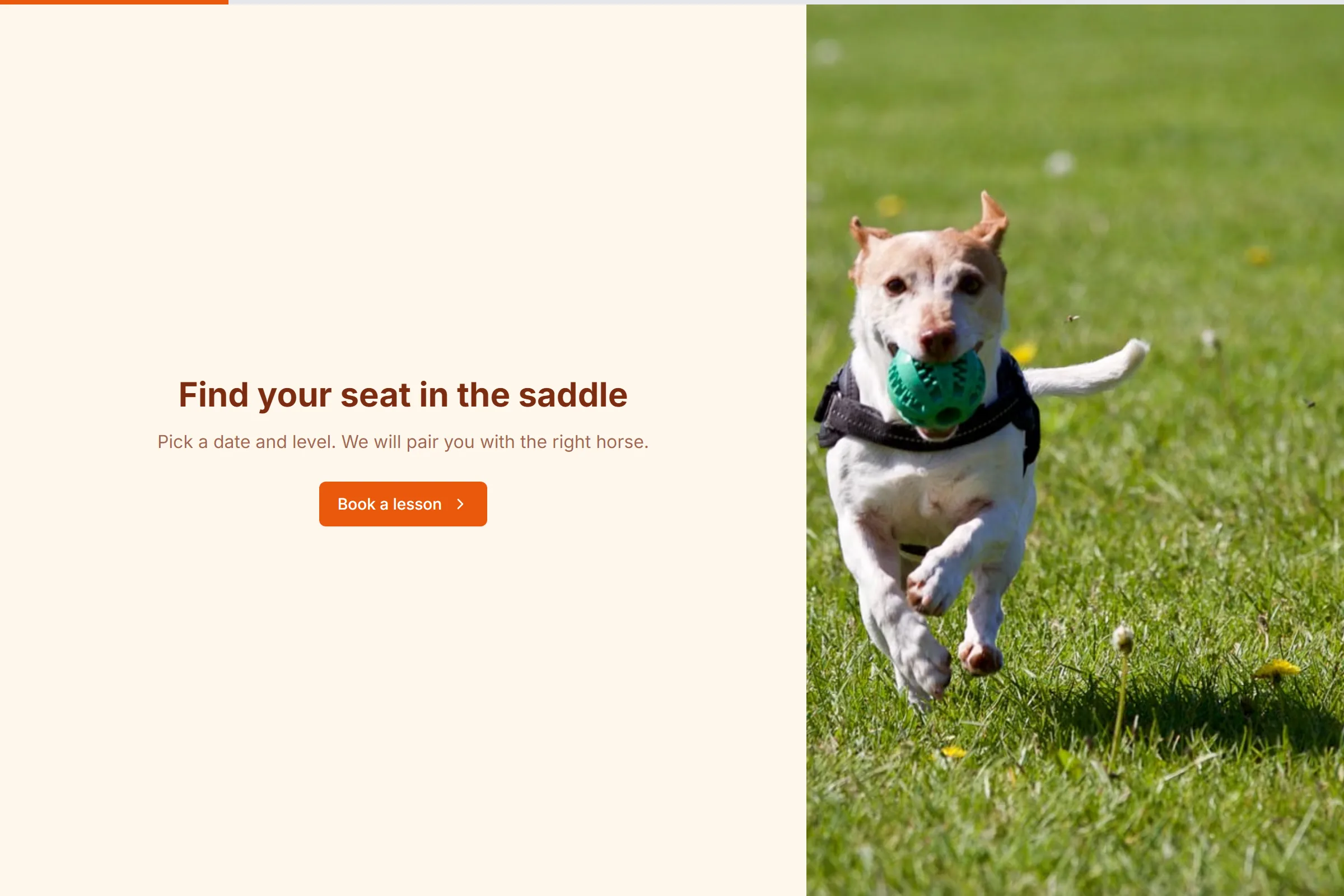 Horseback Riding Lessons template preview