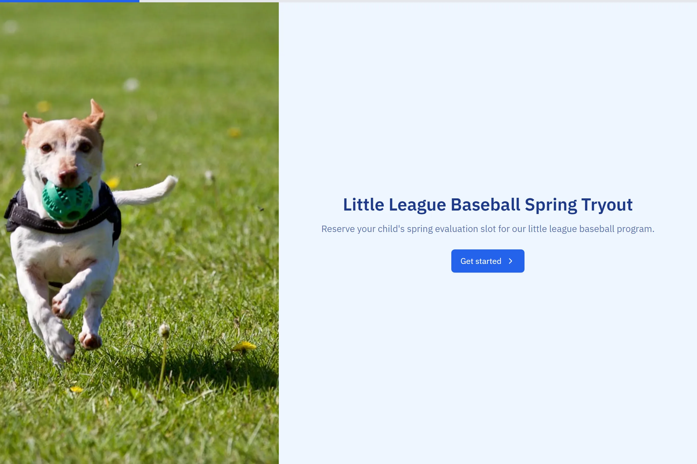 Little League Baseball Spring Tryout preview