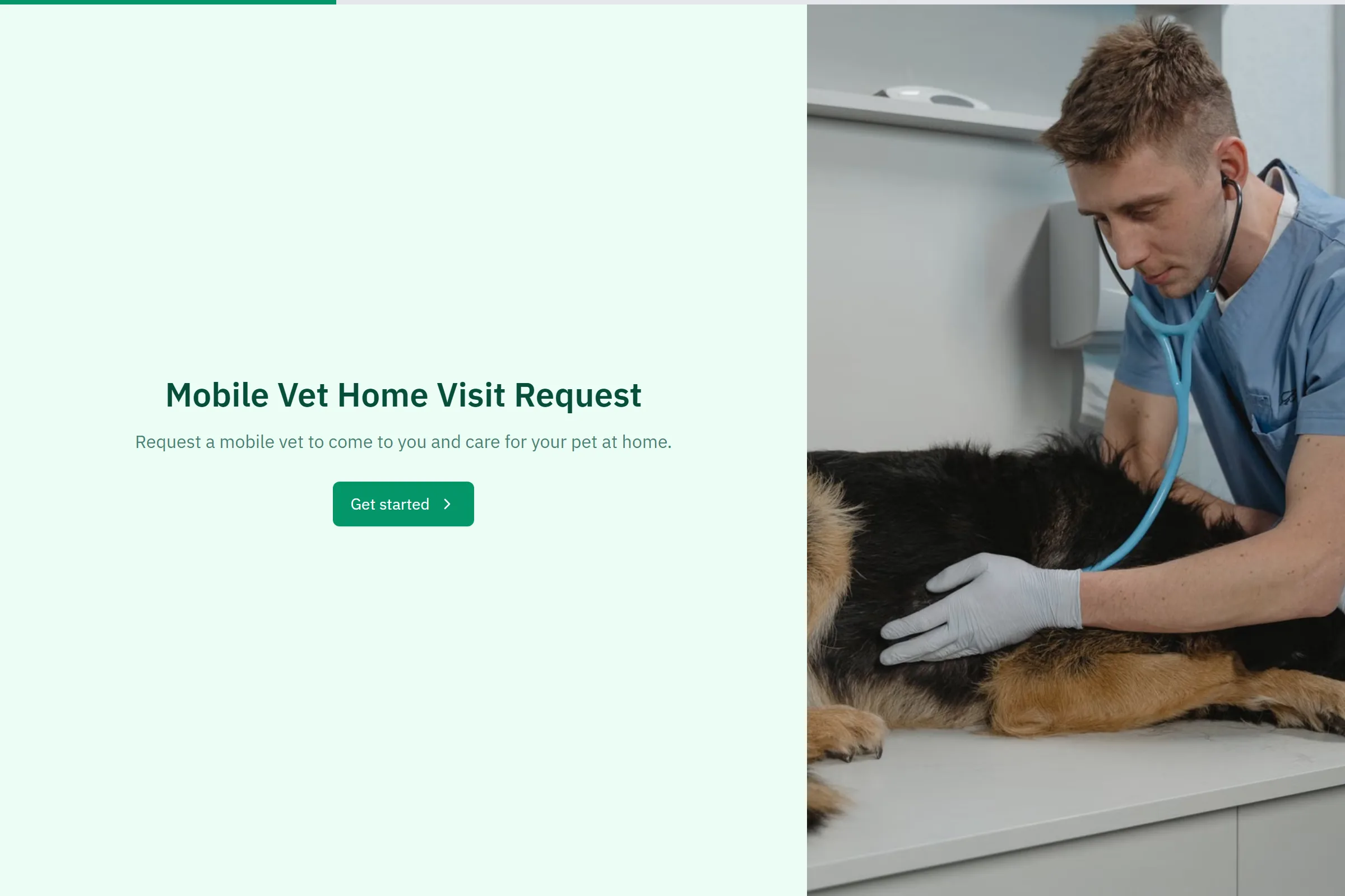 Mobile Vet Home Visit Request template preview