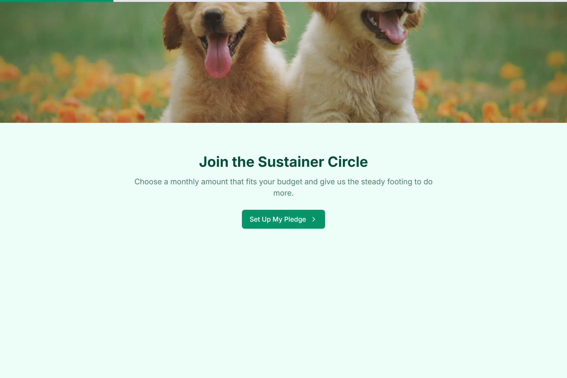 Monthly Giving Pledge template preview