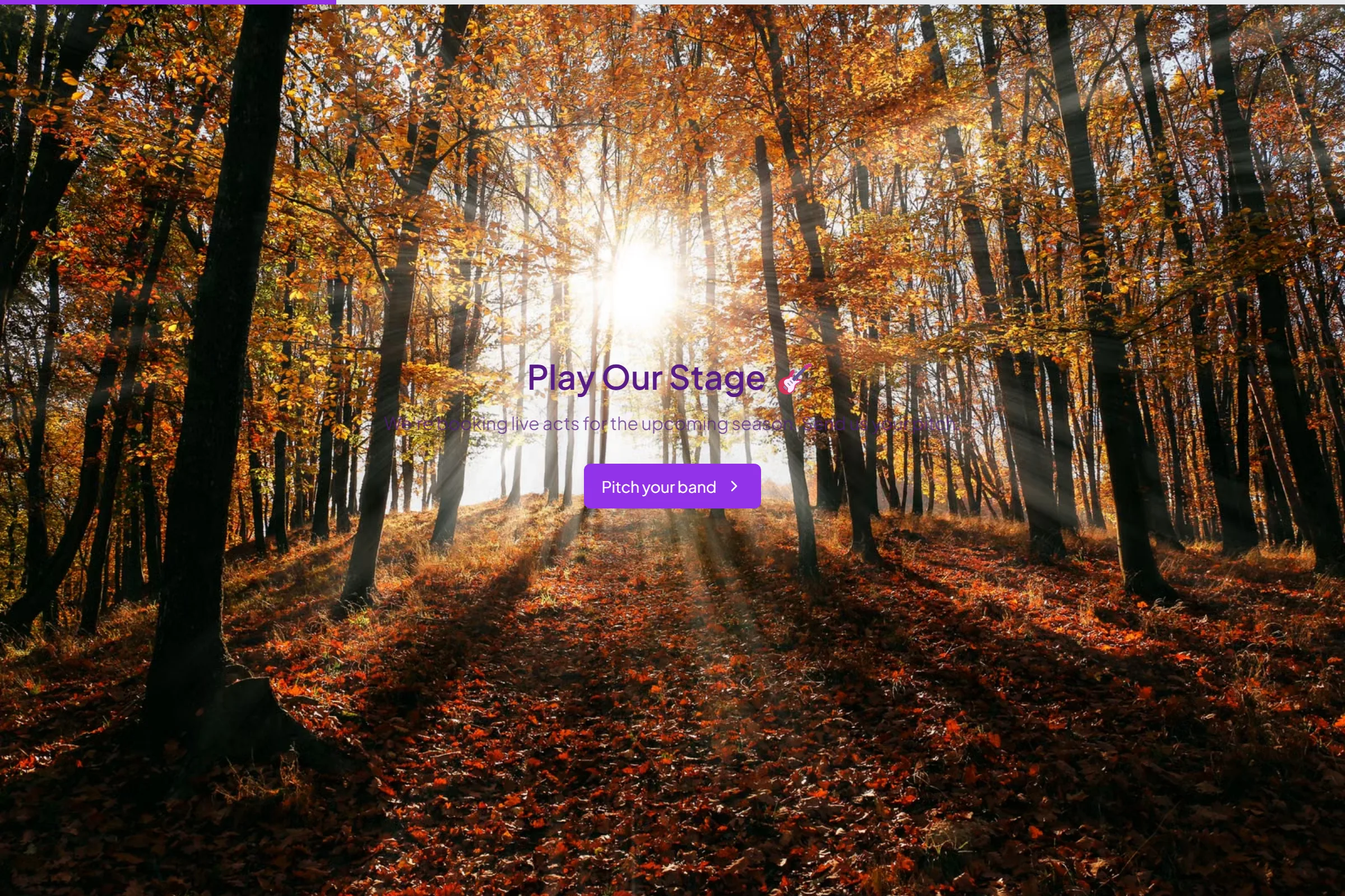 Music Venue Gig Booking template preview