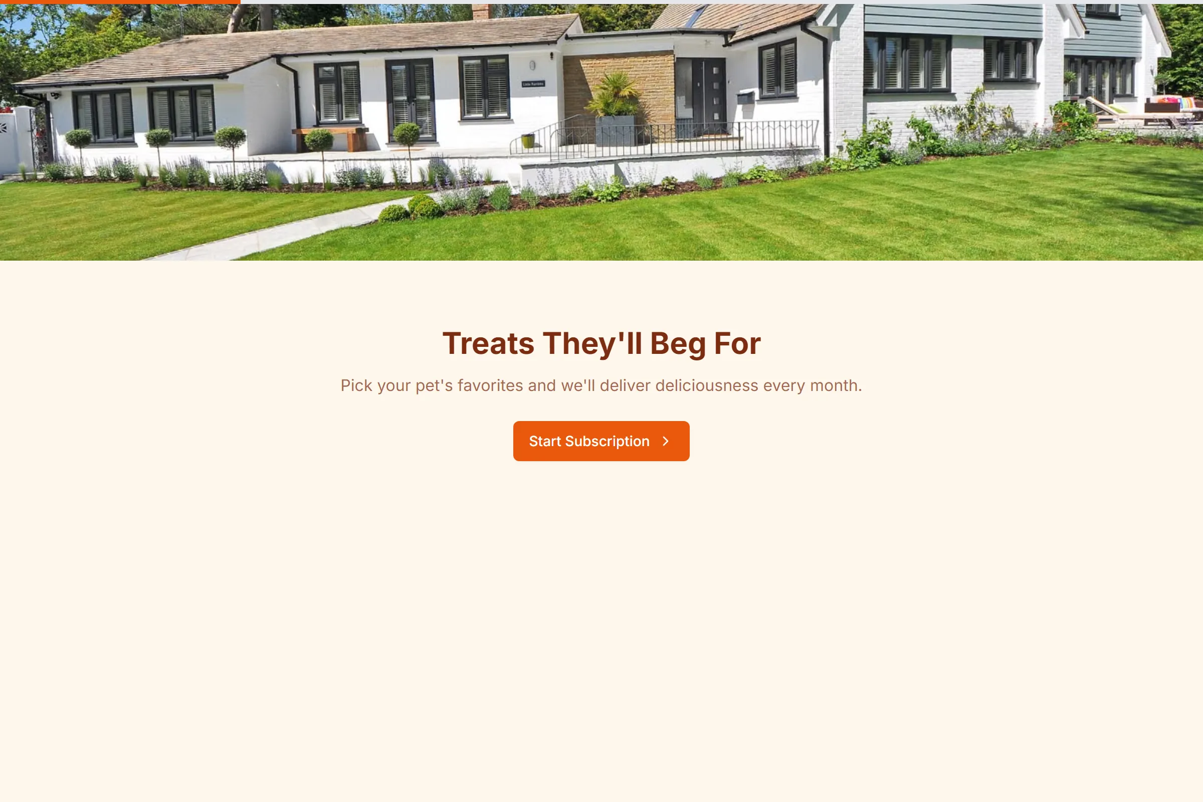 Nibbles Treats Subscription template preview