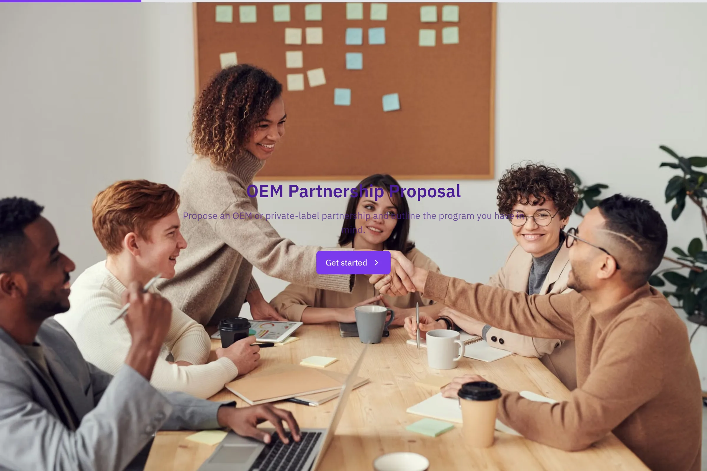 OEM Partnership Proposal template preview
