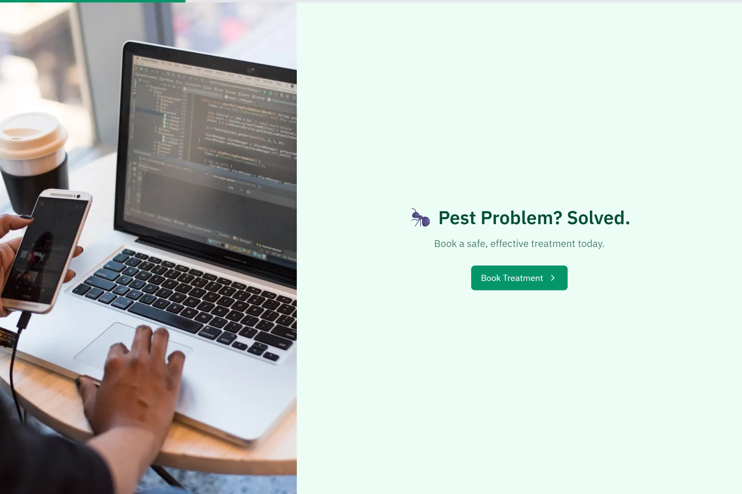 Pest Control Treatment Booking template preview