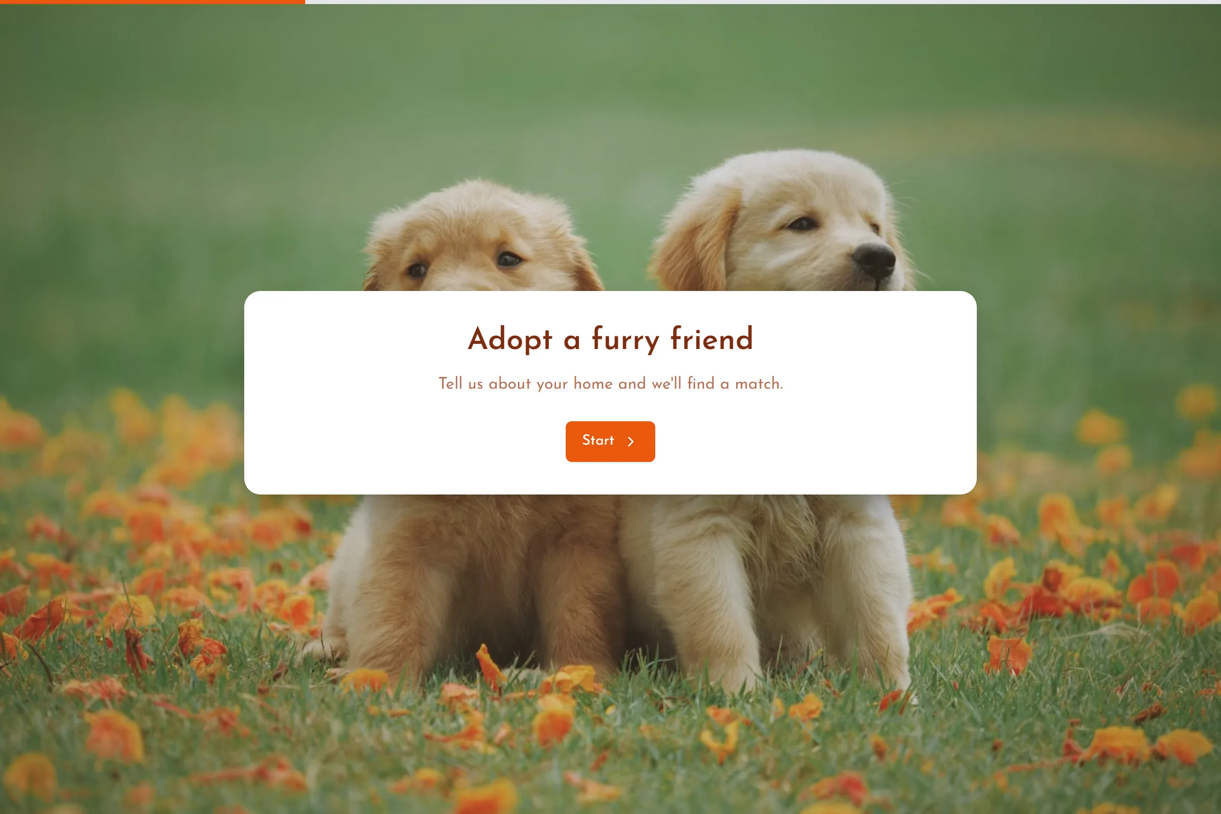 Pet Adoption Application preview