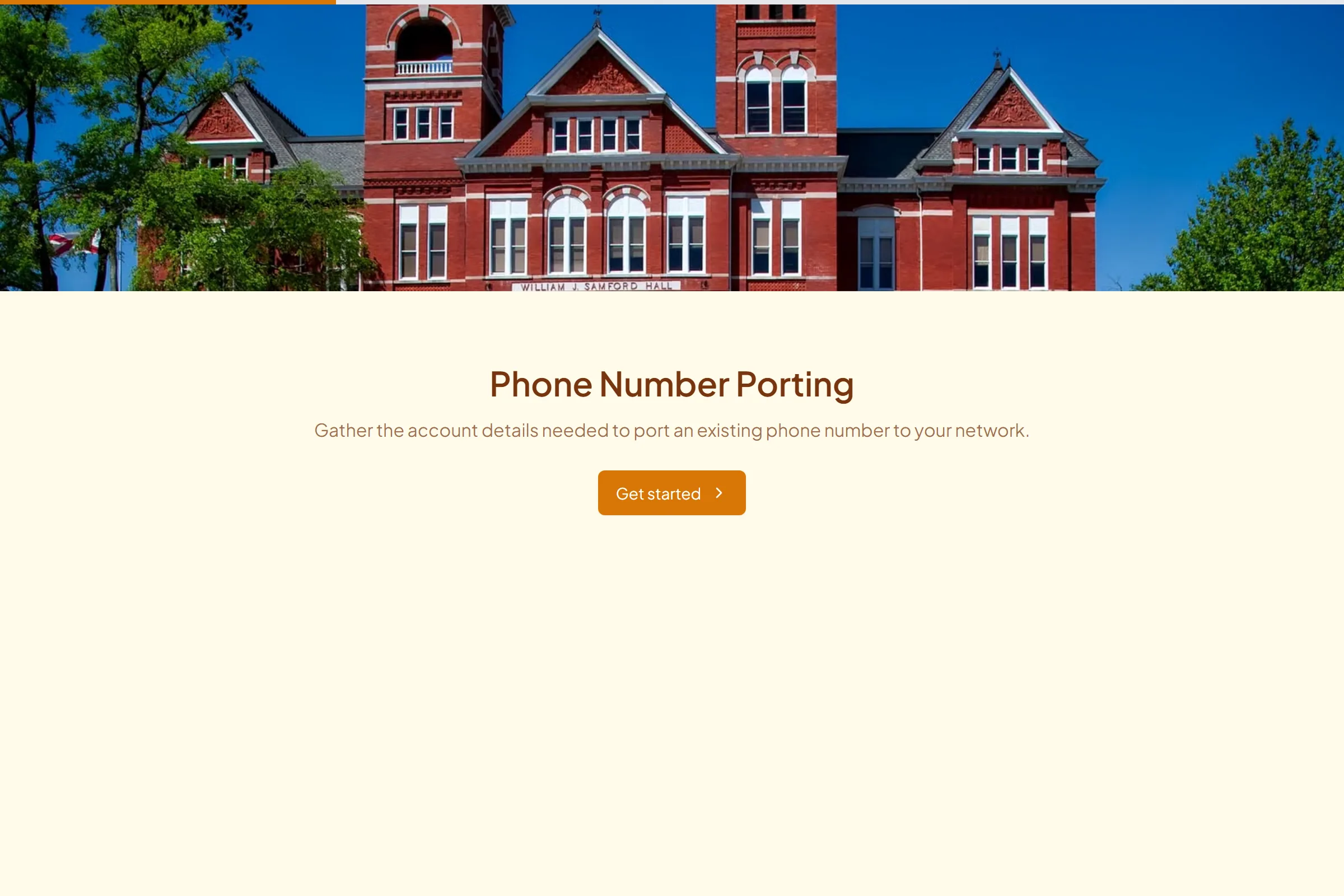Phone Number Porting template preview