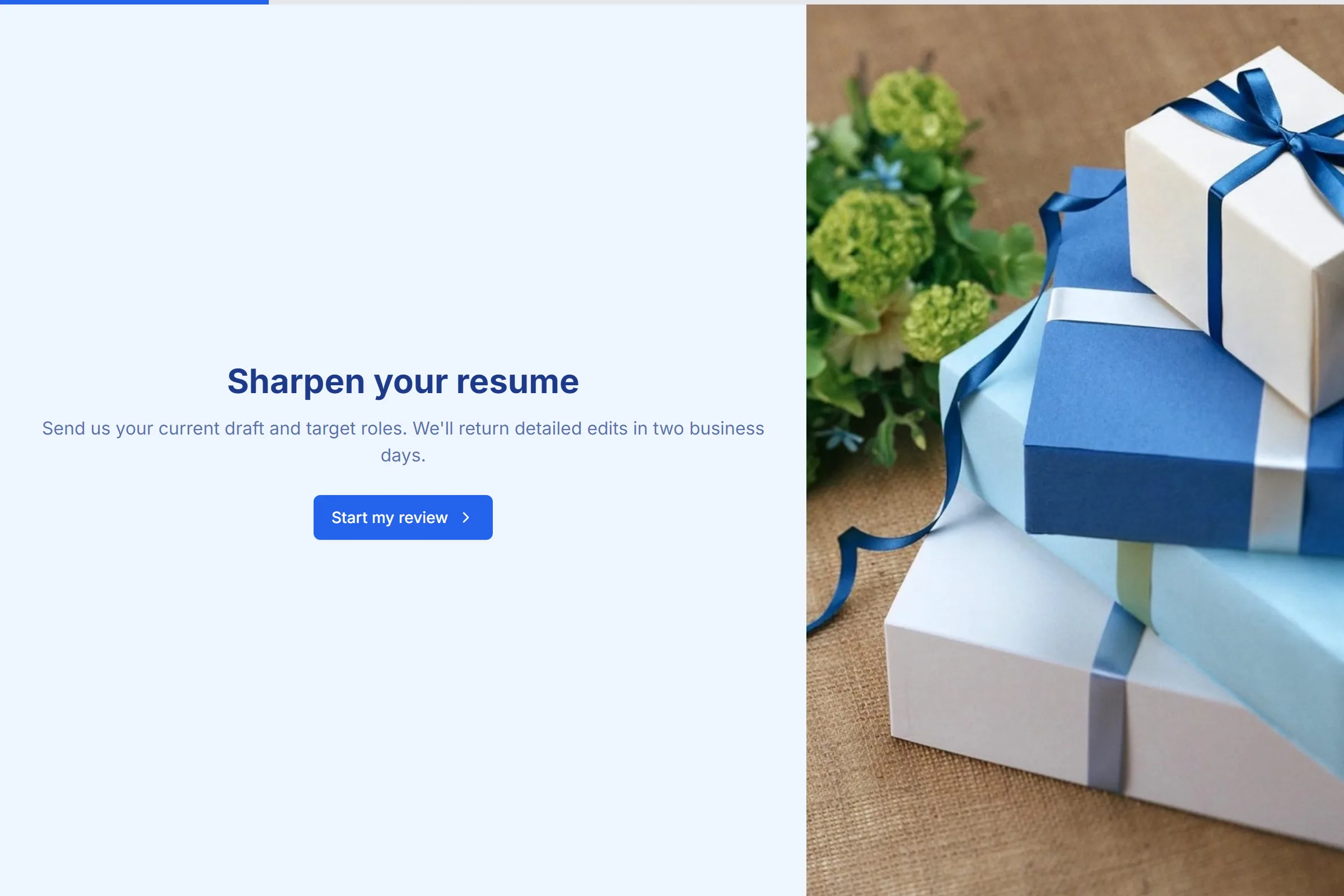 Resume & CV Review Service template preview