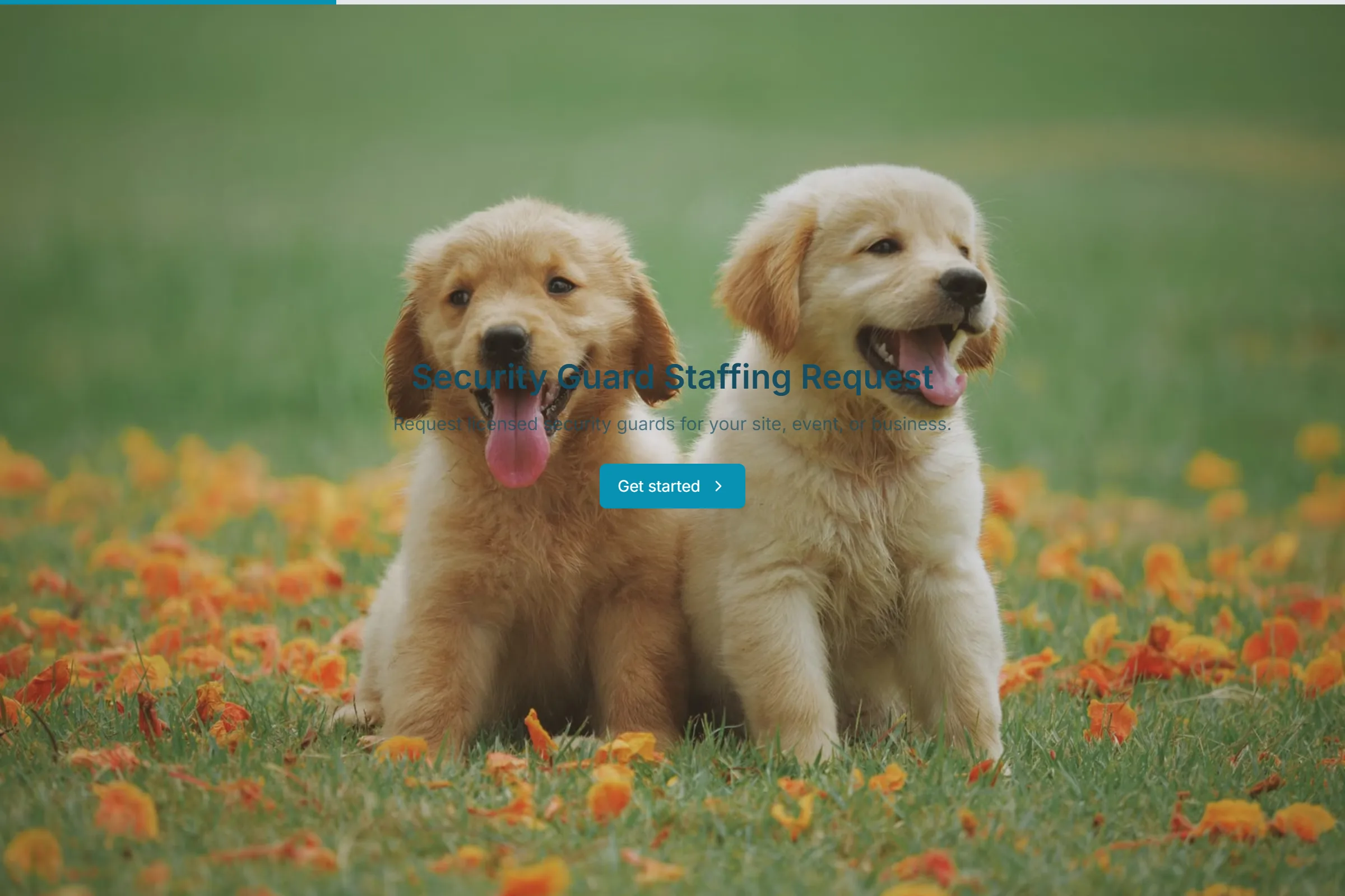 Security Guard Staffing Request template preview