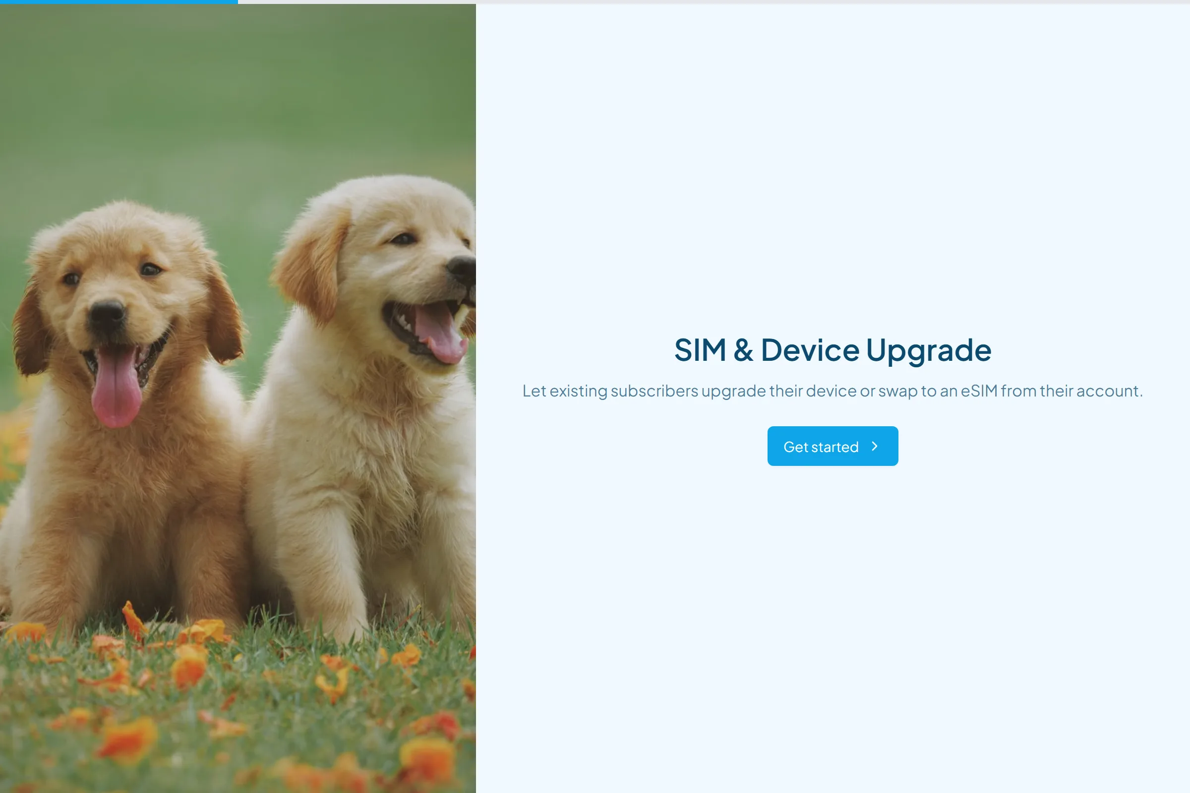 SIM & Device Upgrade template preview