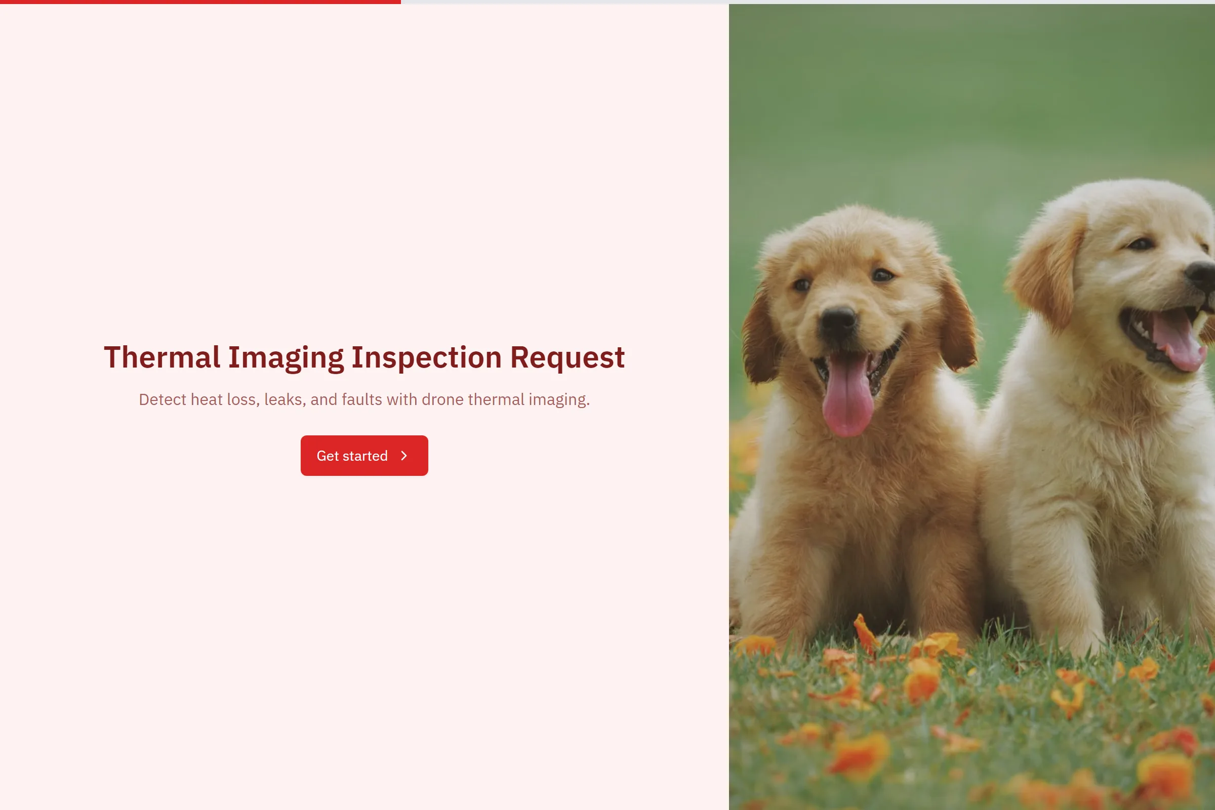 Thermal Imaging Inspection Request template preview