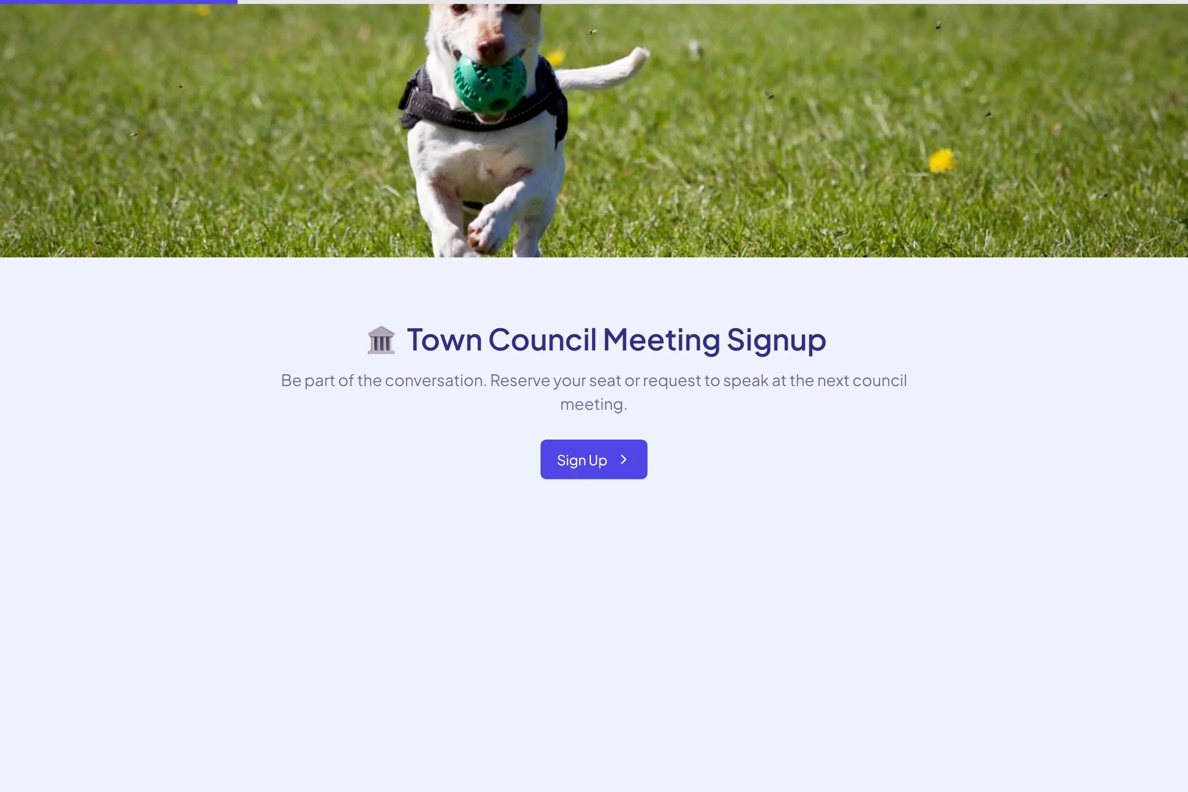 Town Council Meeting Signup template preview
