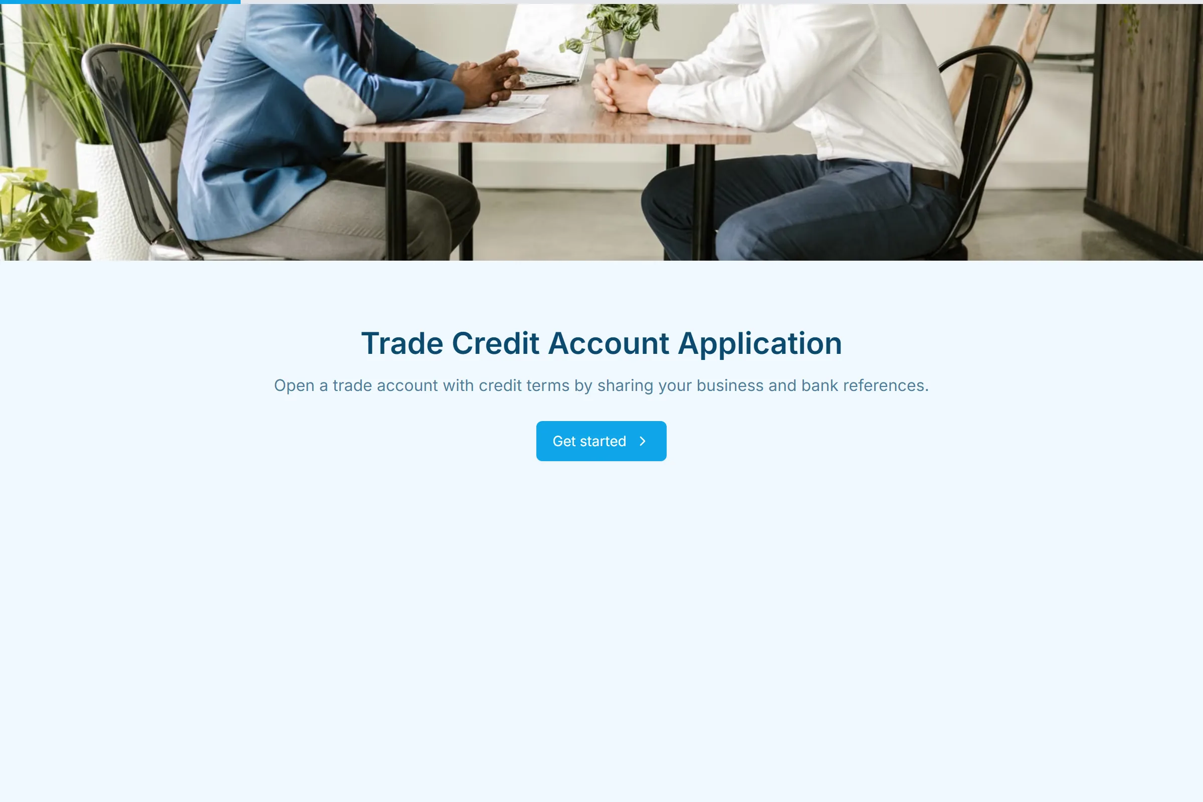 Trade Credit Account Application template preview