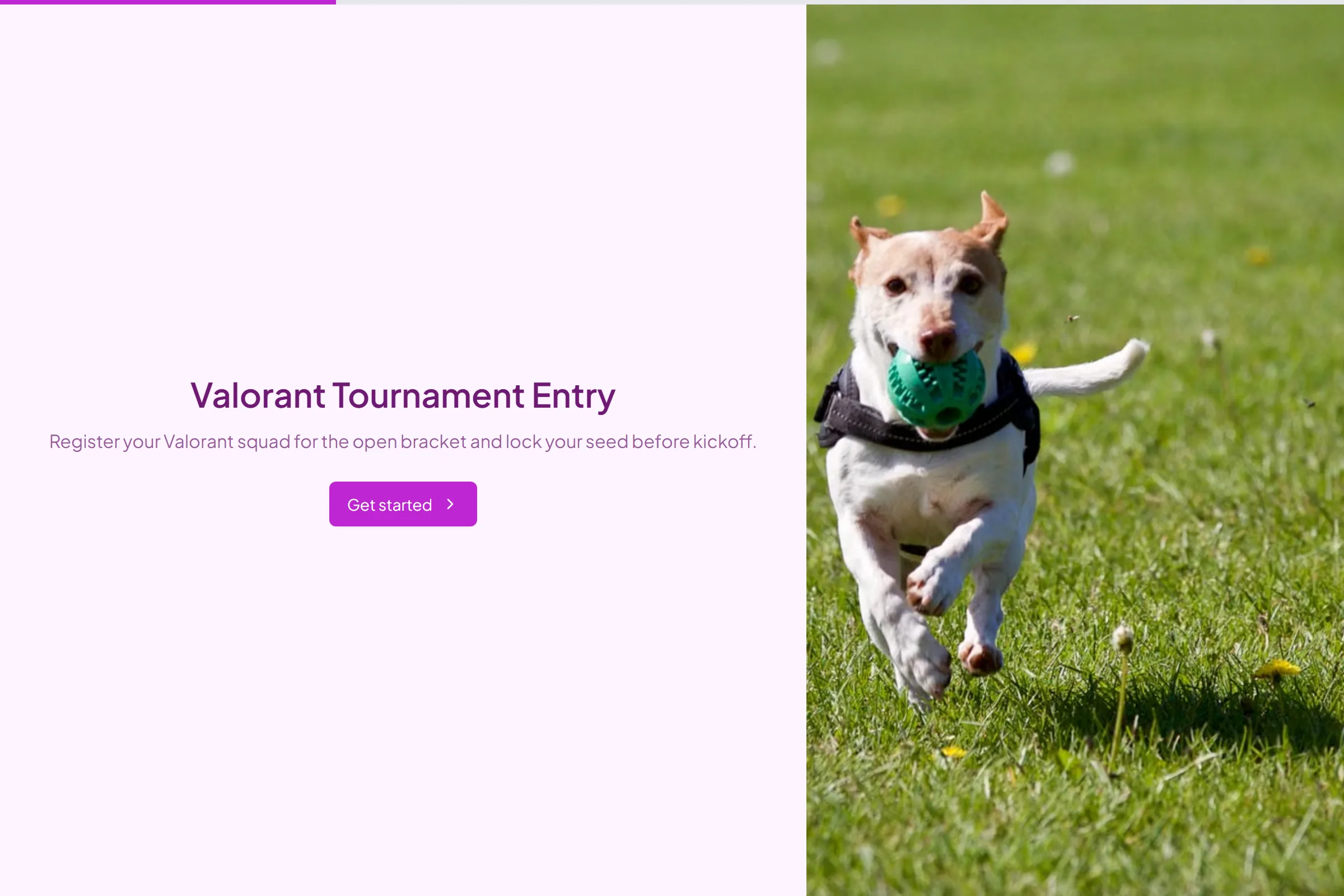 Valorant Tournament Entry preview