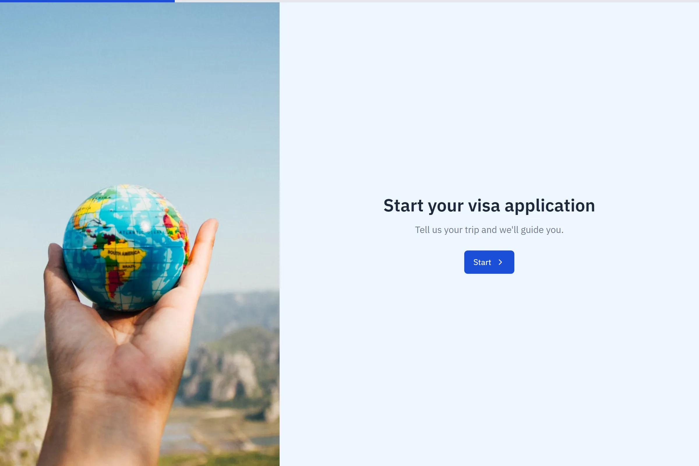 Visa Application preview