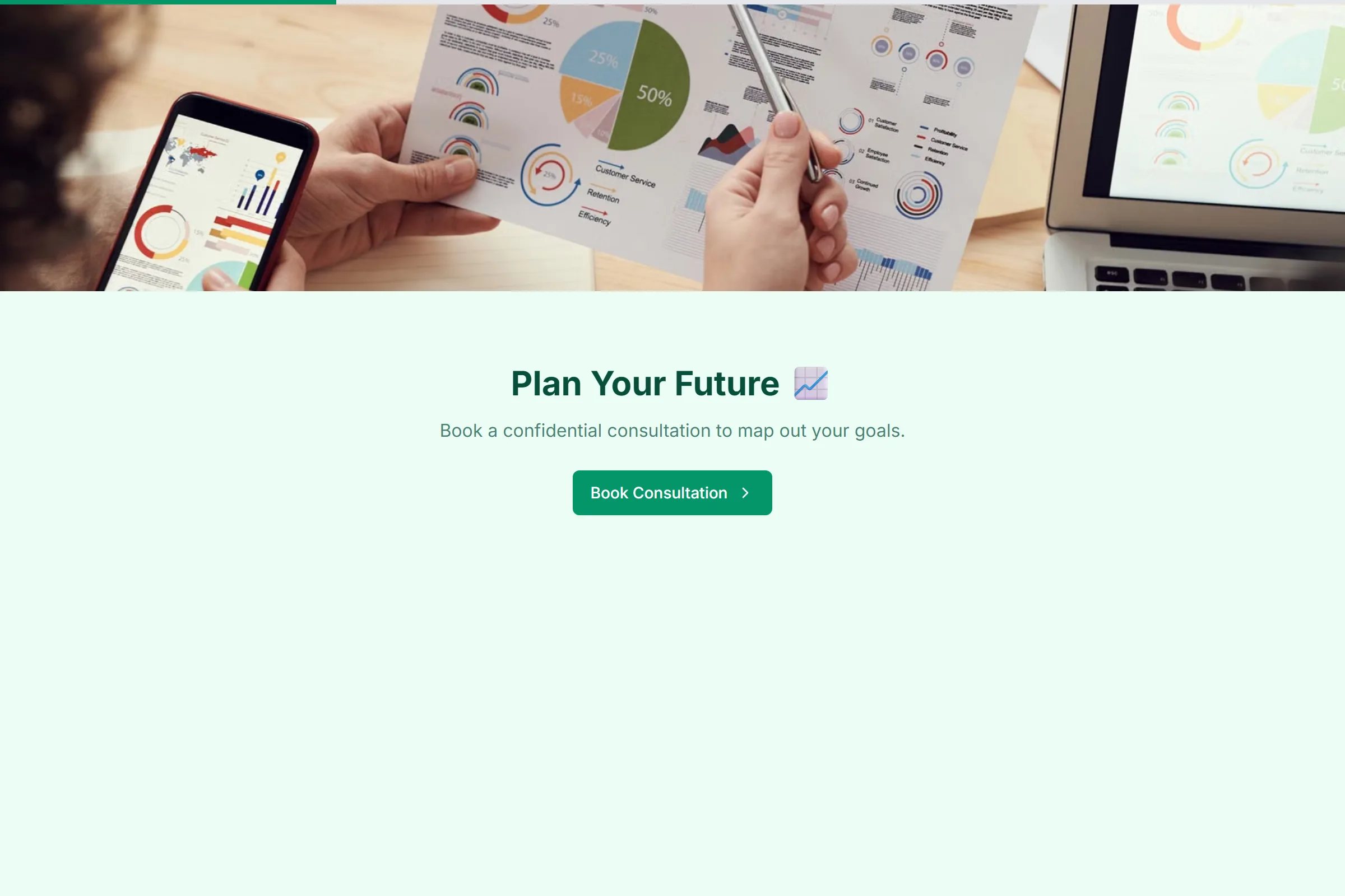 Wealth Financial Advisor Meeting template preview