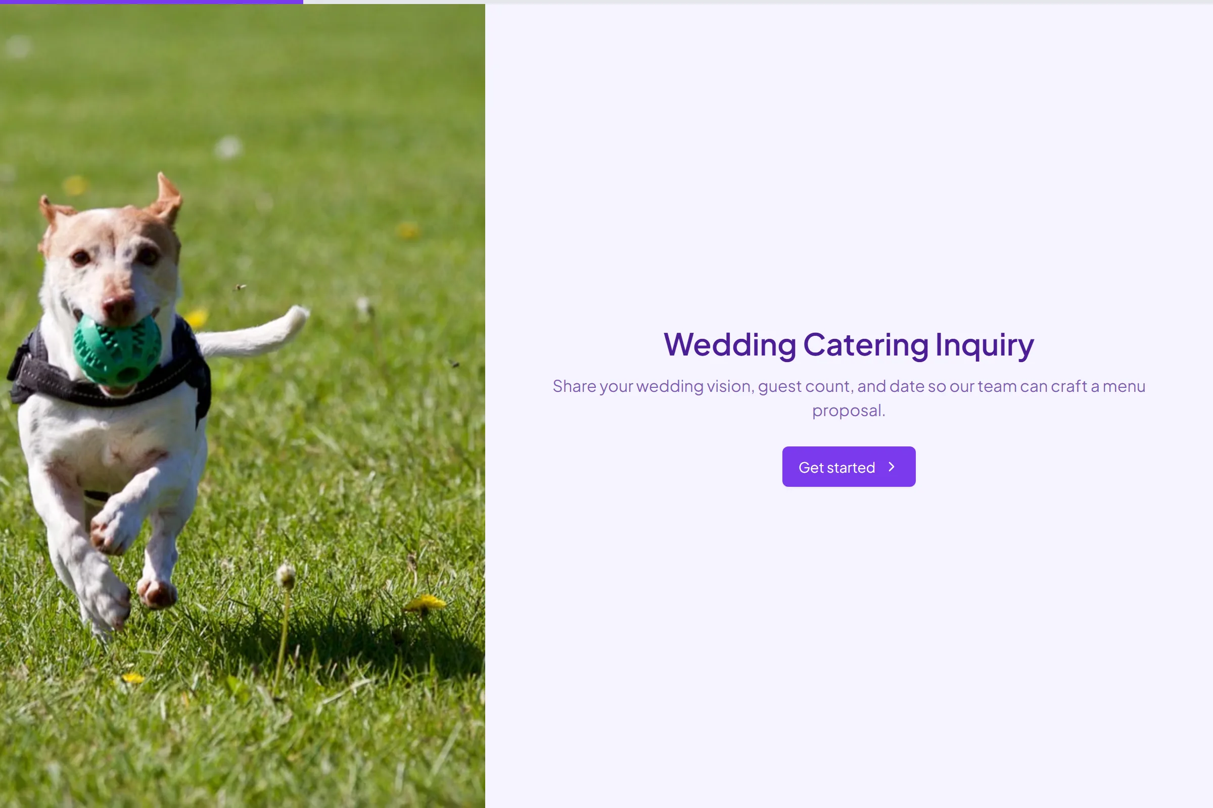 Wedding Catering Inquiry template preview
