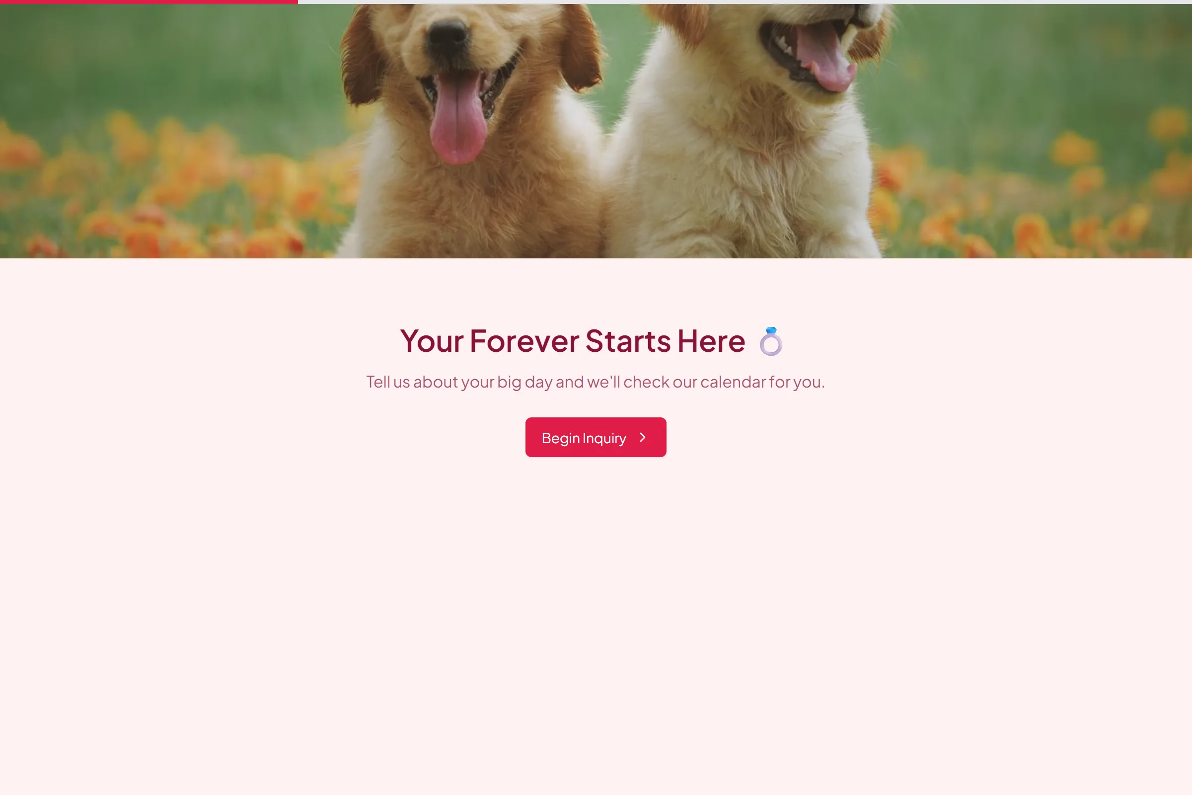 Wedding Venue Inquiry template preview